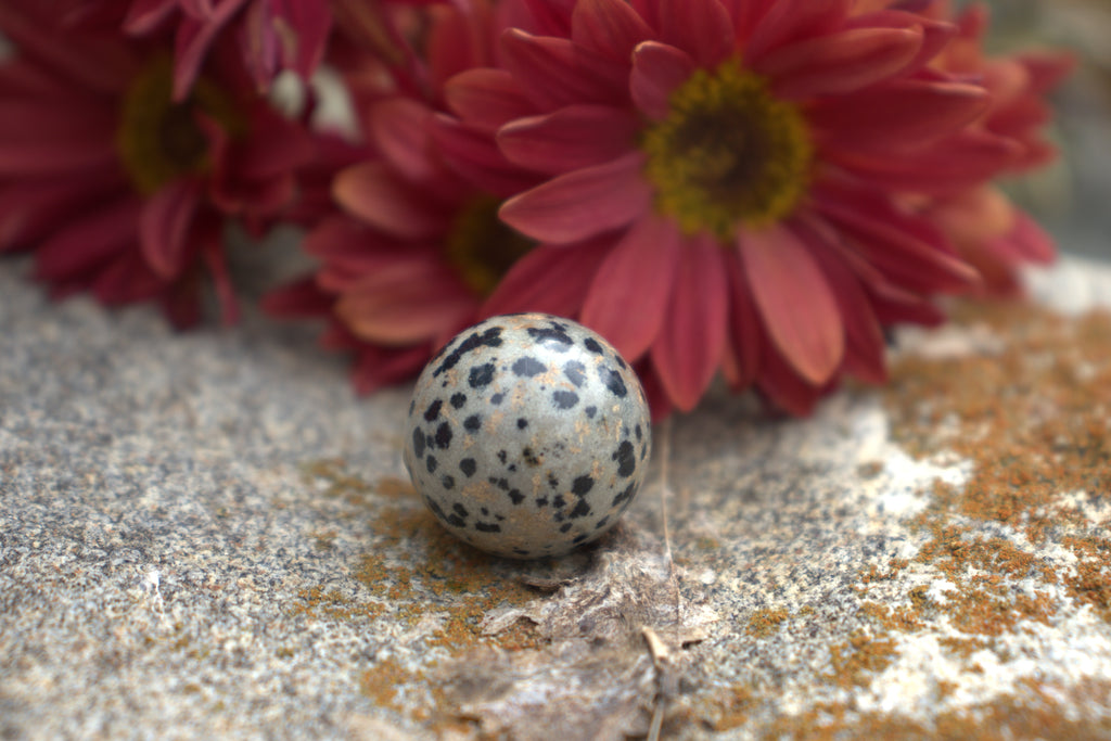 Dalmatian Jasper Mini Sphere