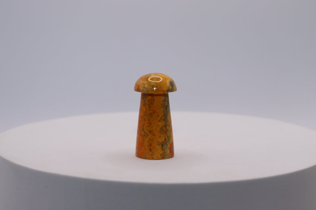 Bumblebee Jasper Mushroom