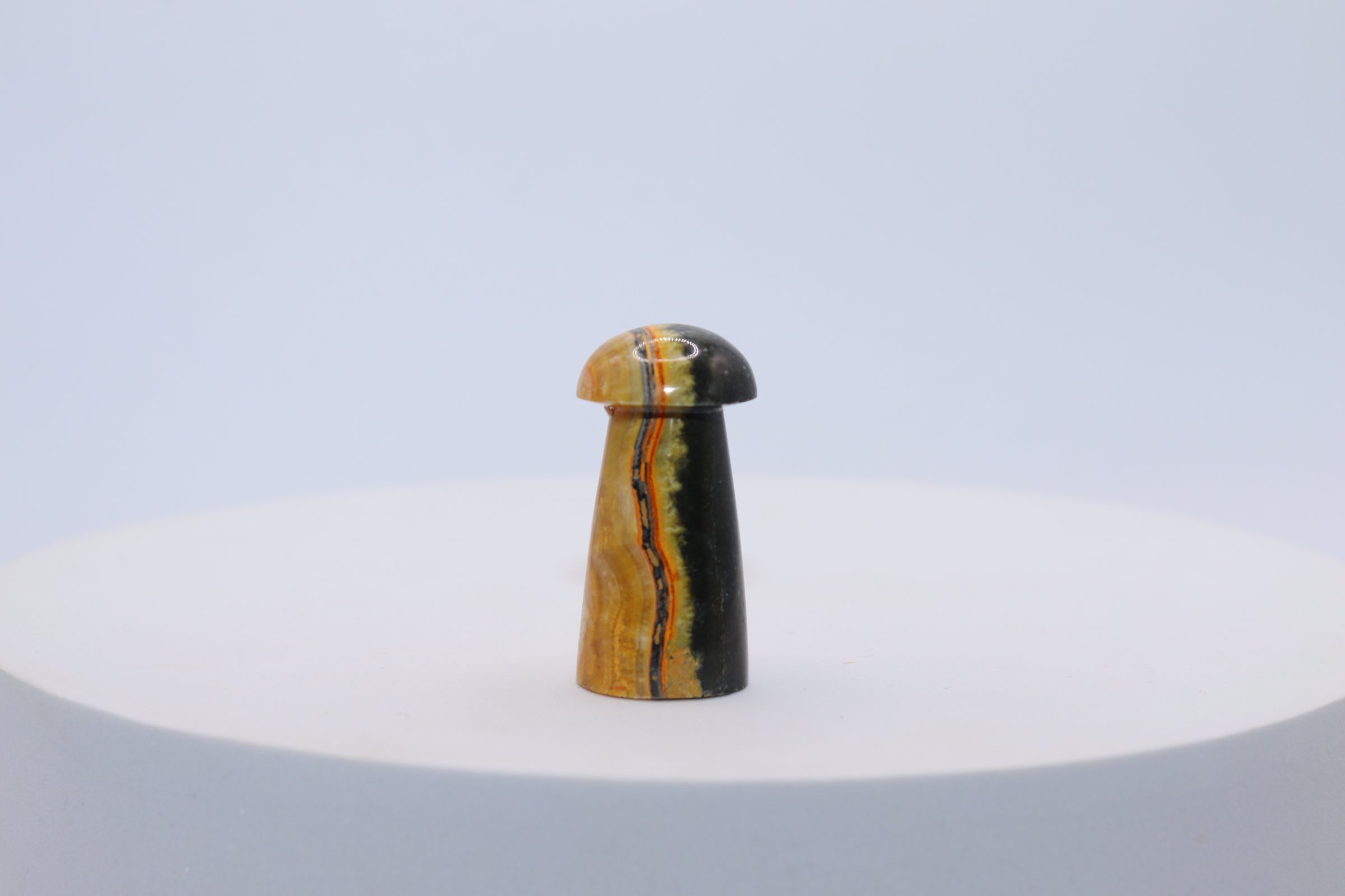Bumblebee Jasper Mushroom