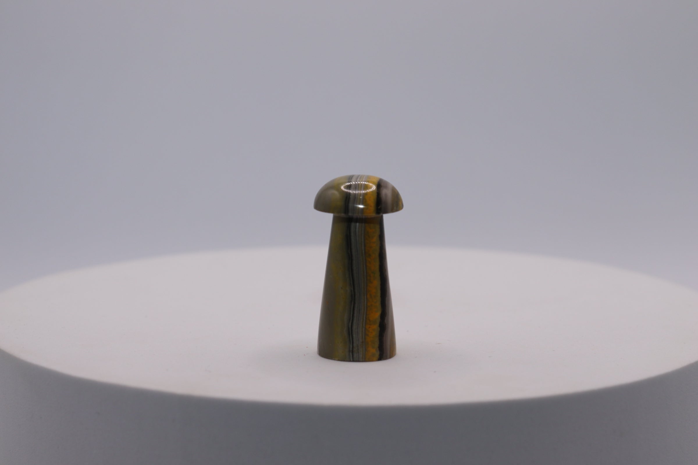 Bumblebee Jasper Mushroom