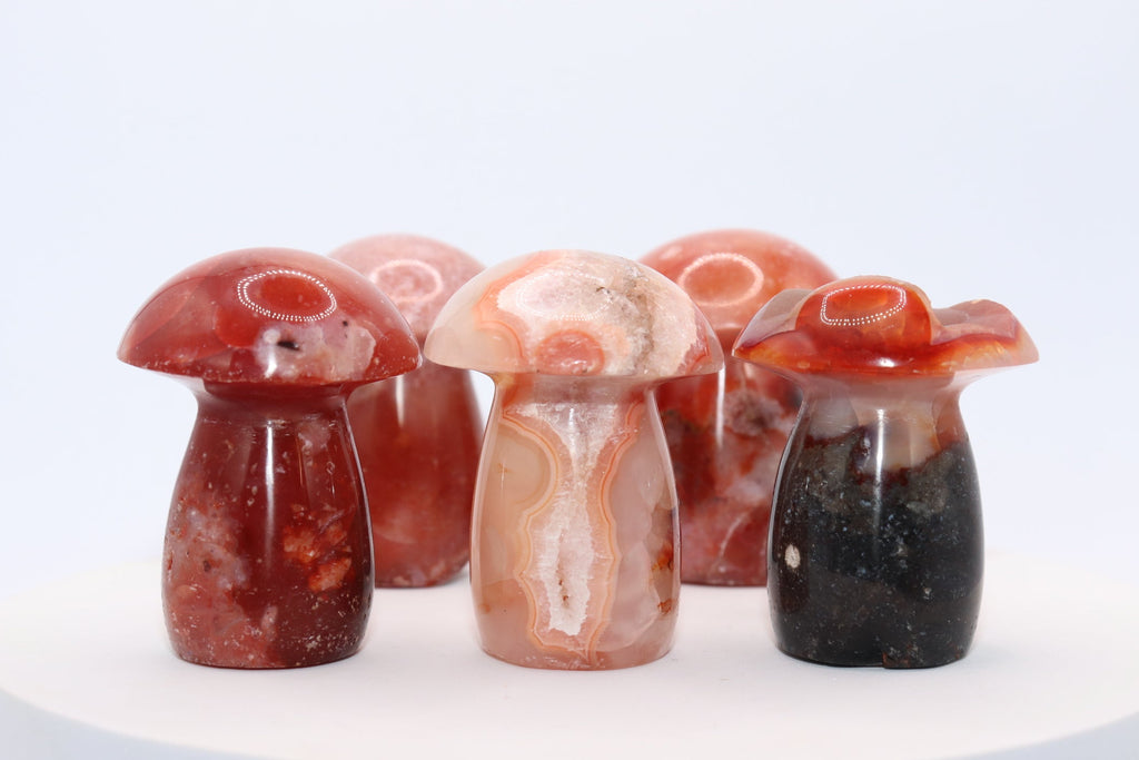 Carnelian Mushroom
