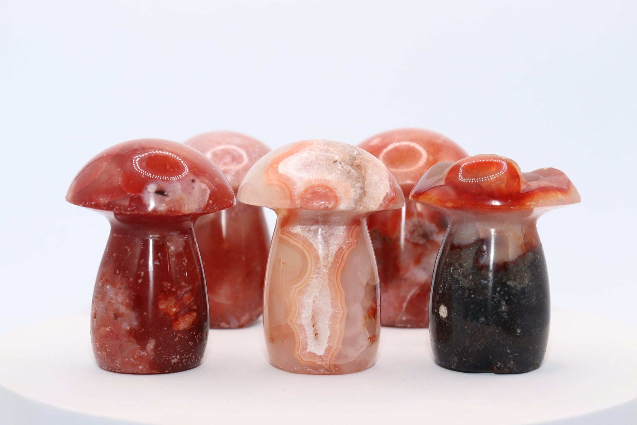 Carnelian Mushroom