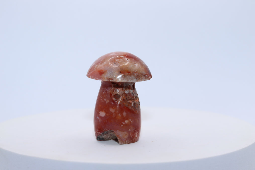 Carnelian Mushroom