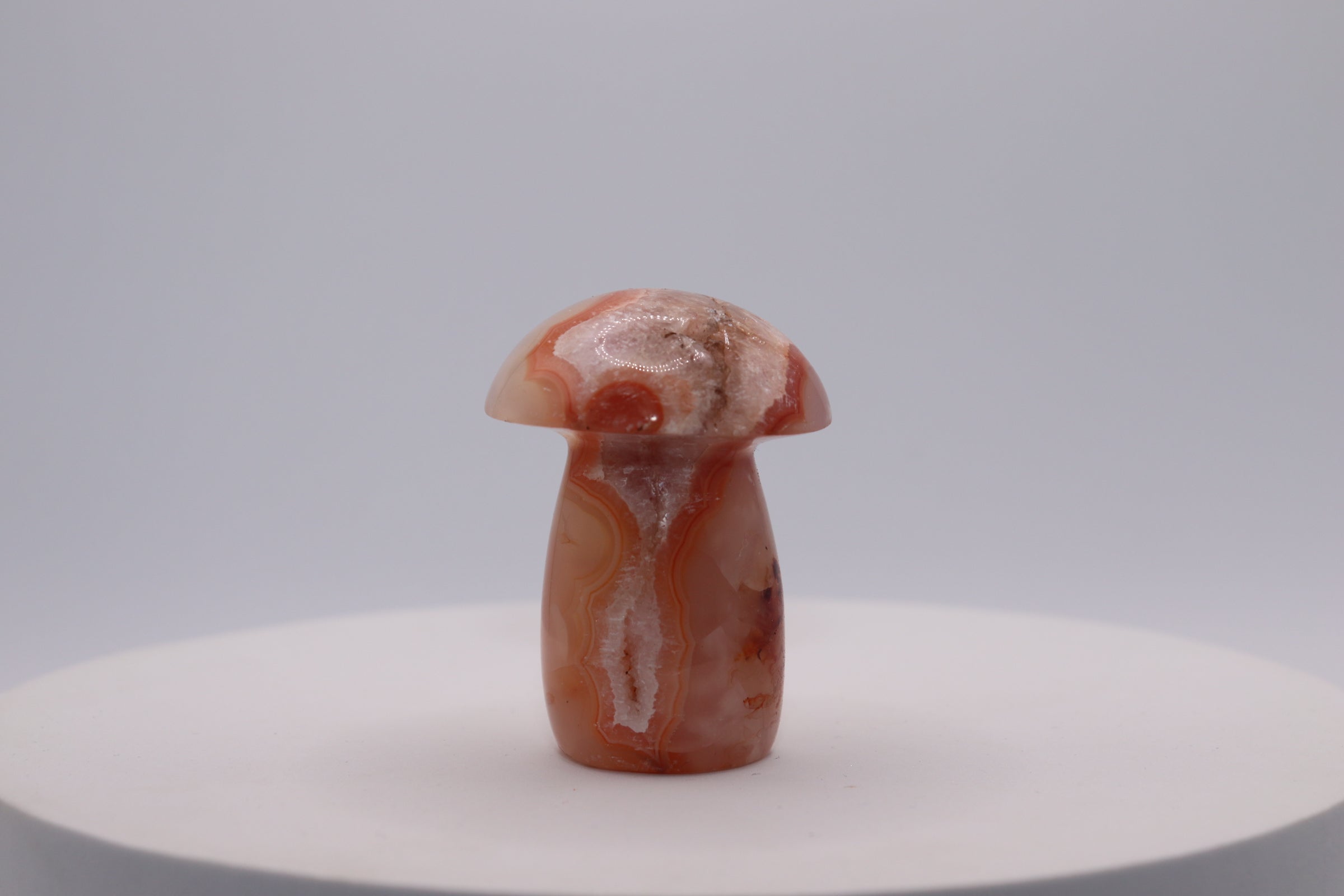 Carnelian Mushroom