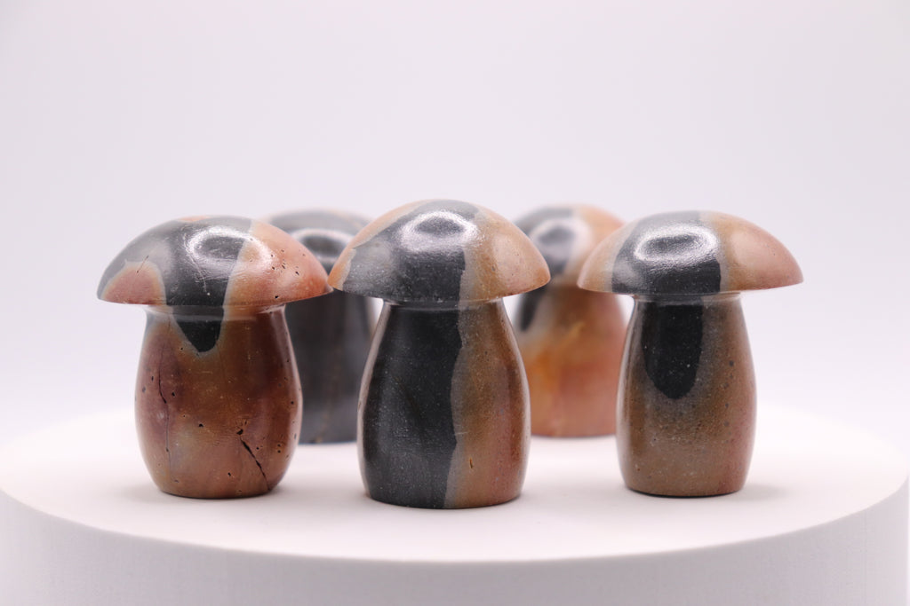 Polychrome Mushroom