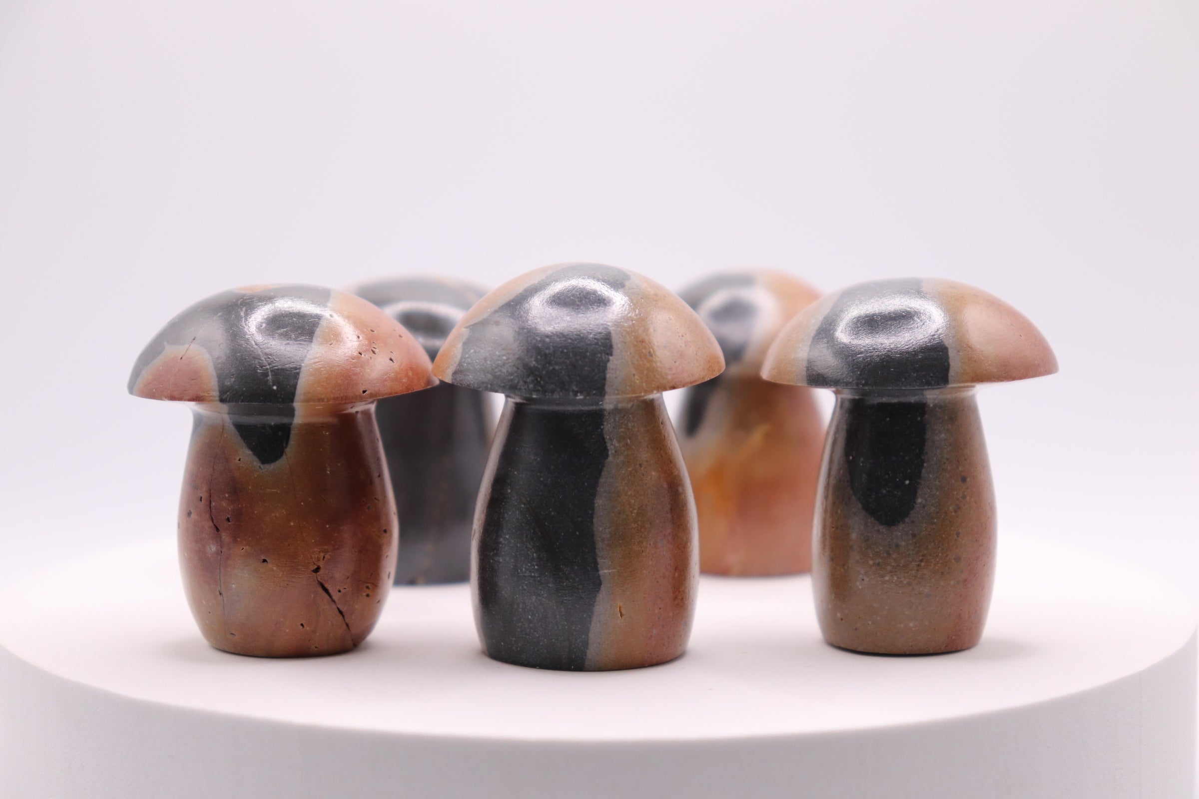 Polychrome Mushroom