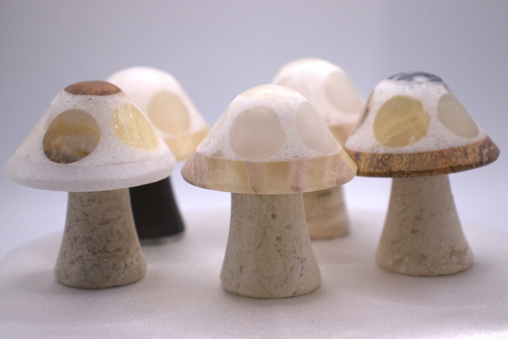 Mixed Onyx Mushroom
