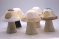 Mixed Onyx Mushroom