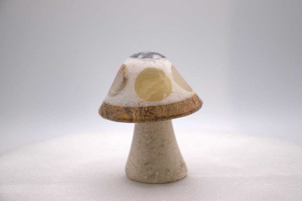 Mixed Onyx Mushroom