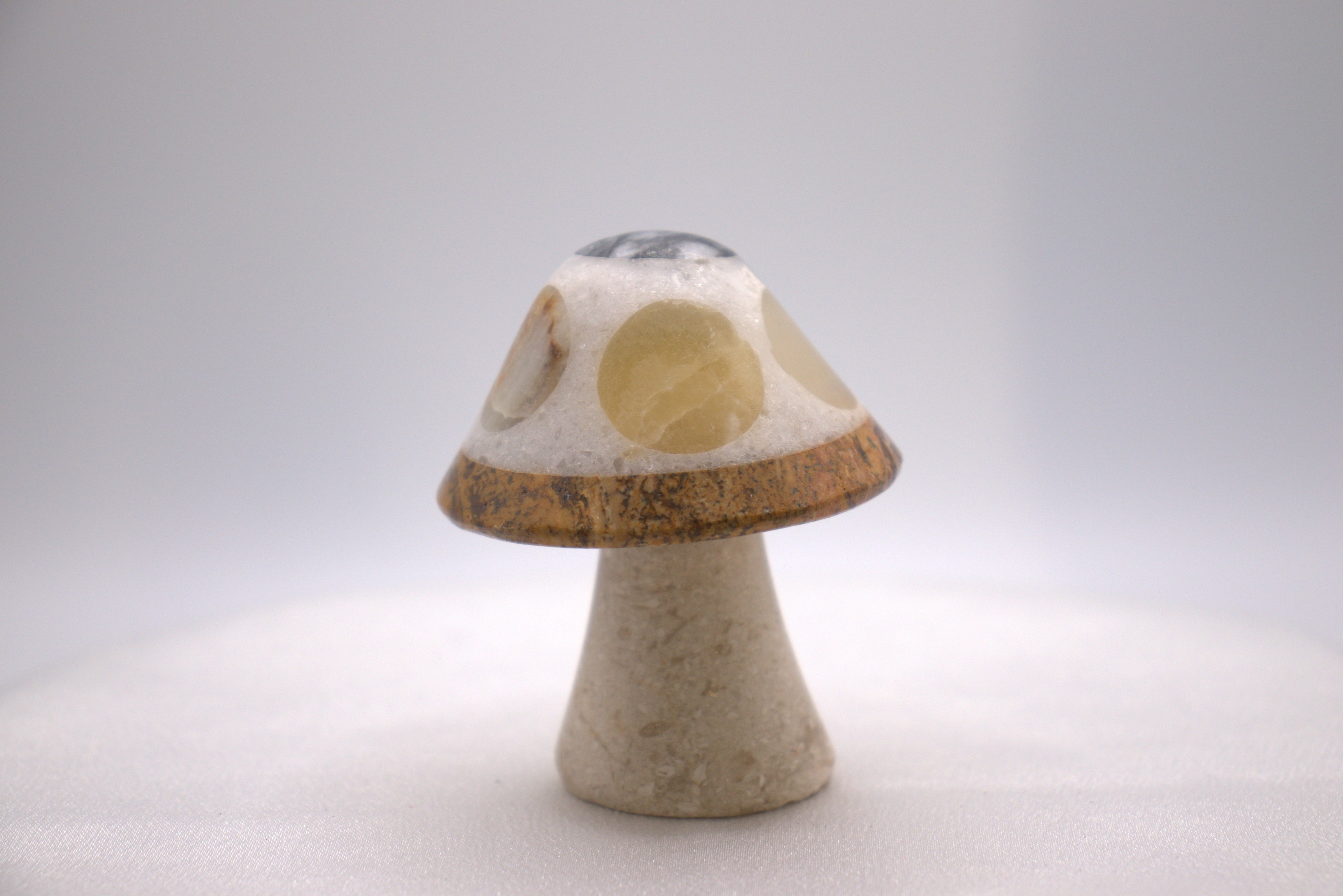 Mixed Onyx Mushroom