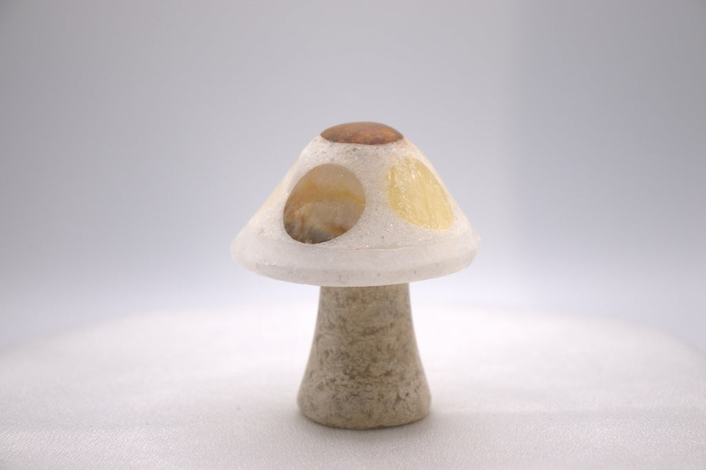 Mixed Onyx Mushroom