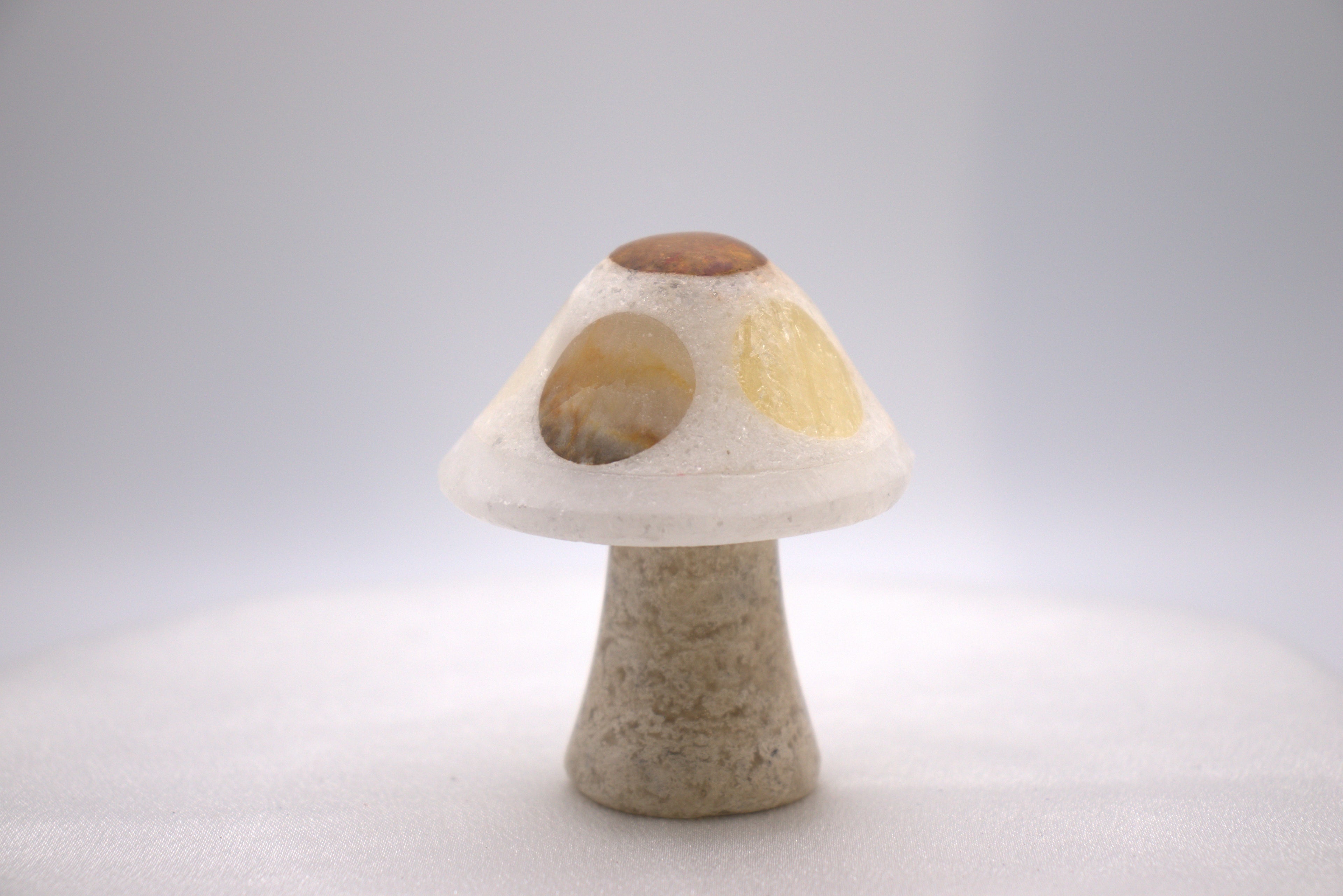 Mixed Onyx Mushroom