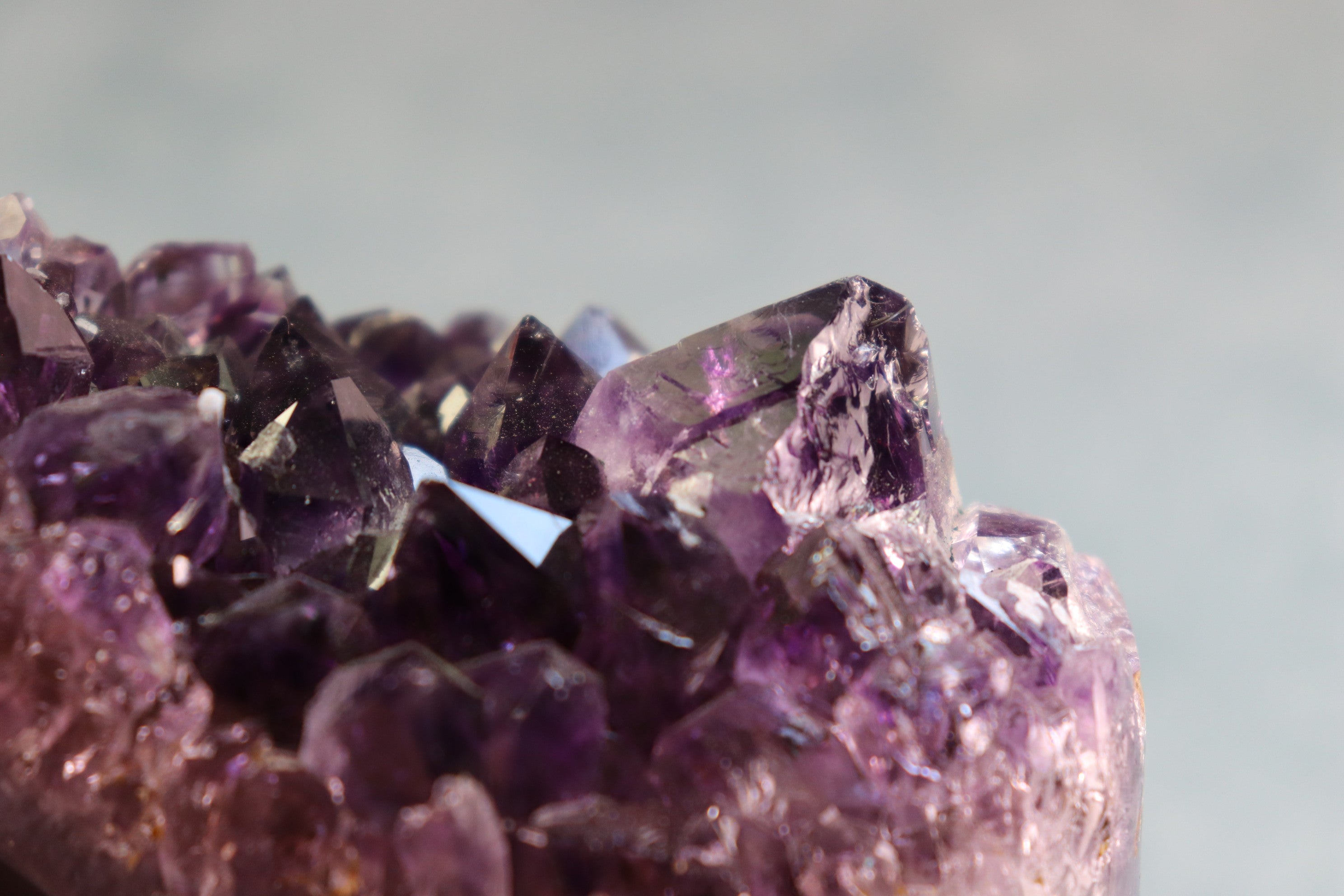 Close-up of purple amethyst crystals on a light gray background