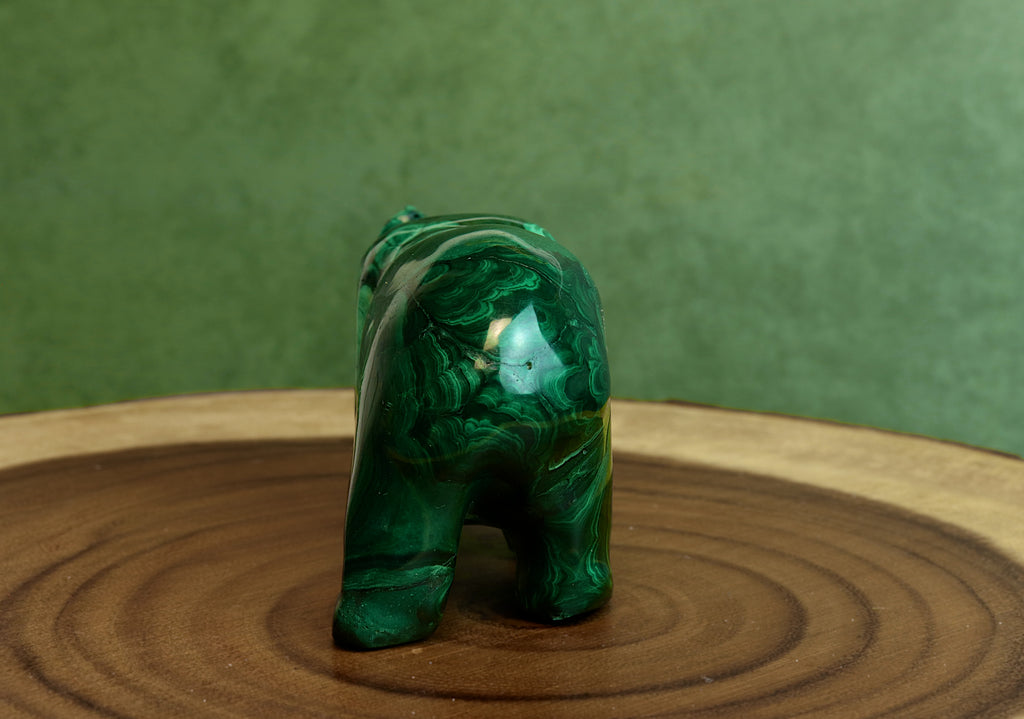 Malachite Bear