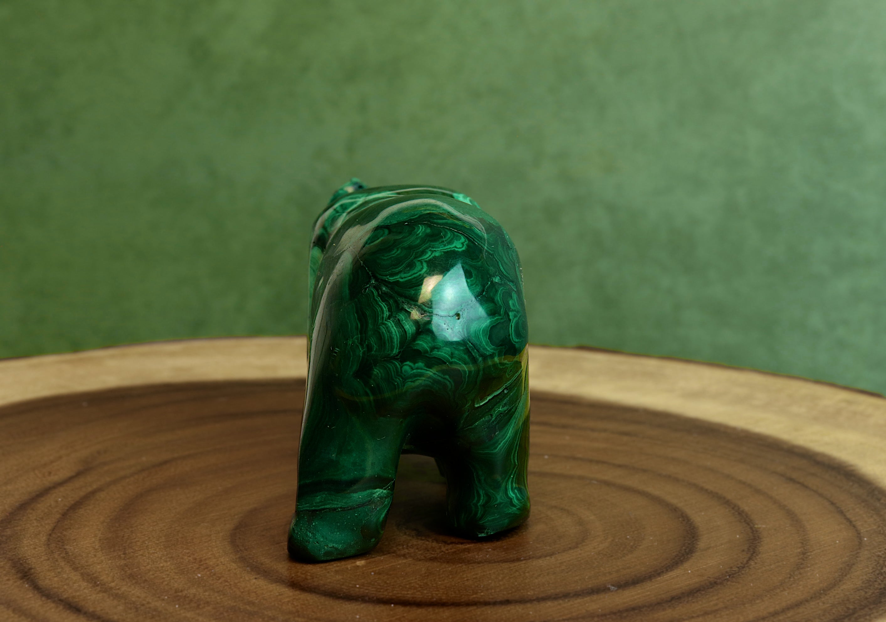 Malachite Bear
