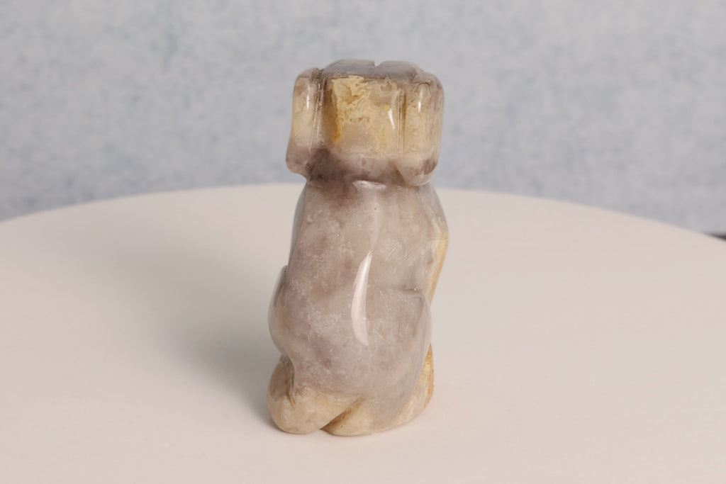 Bumblebee Jasper Dog