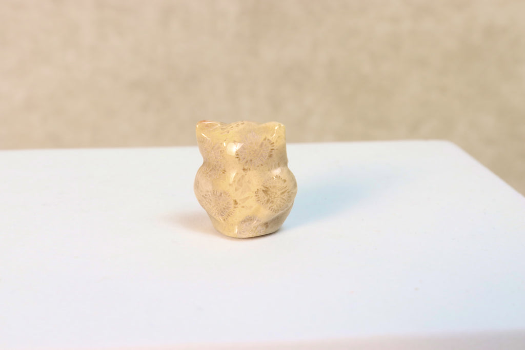 Agatized Coral Owl