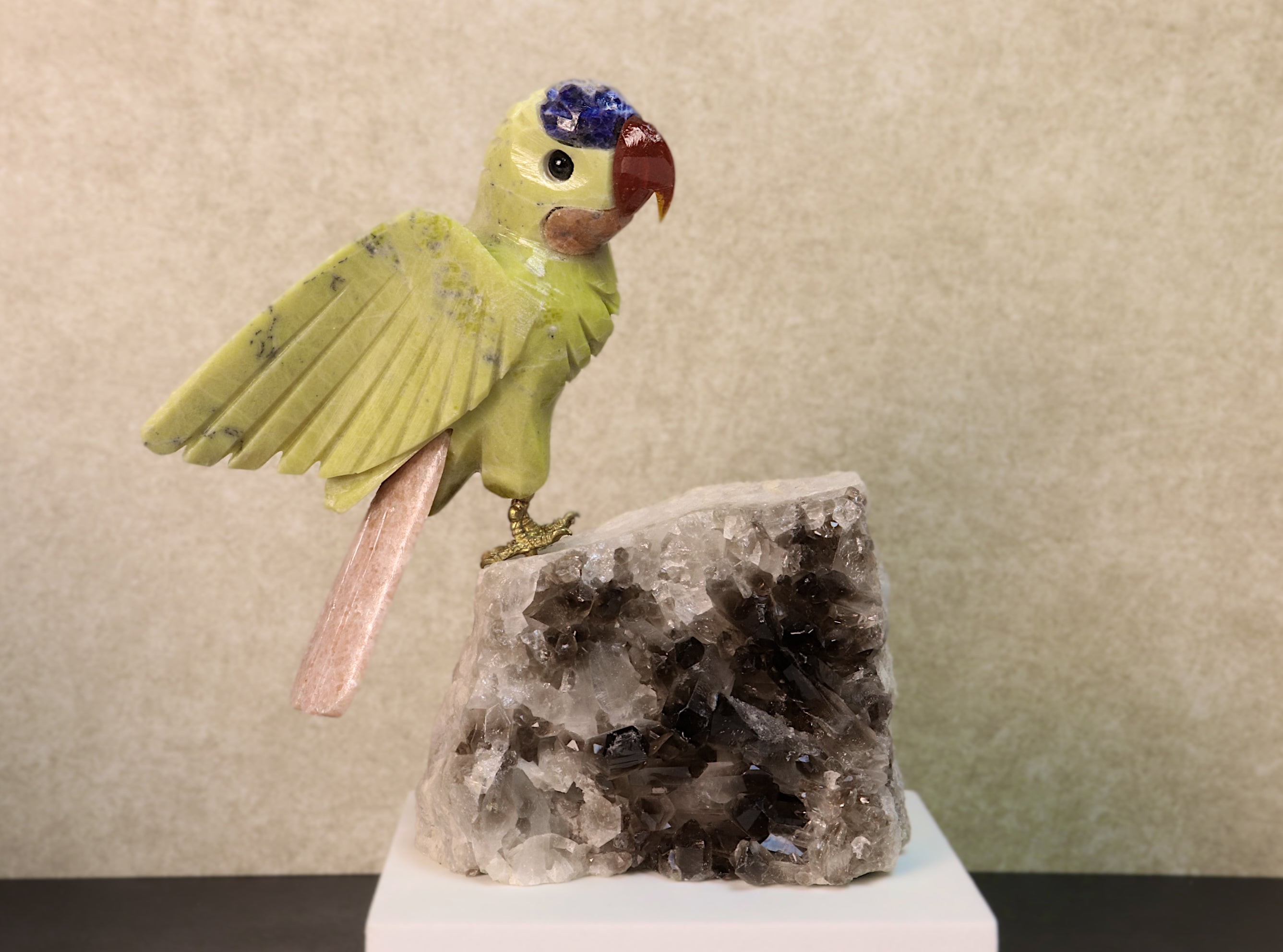 Budgie Bird