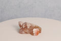 Flower Agate Turtle