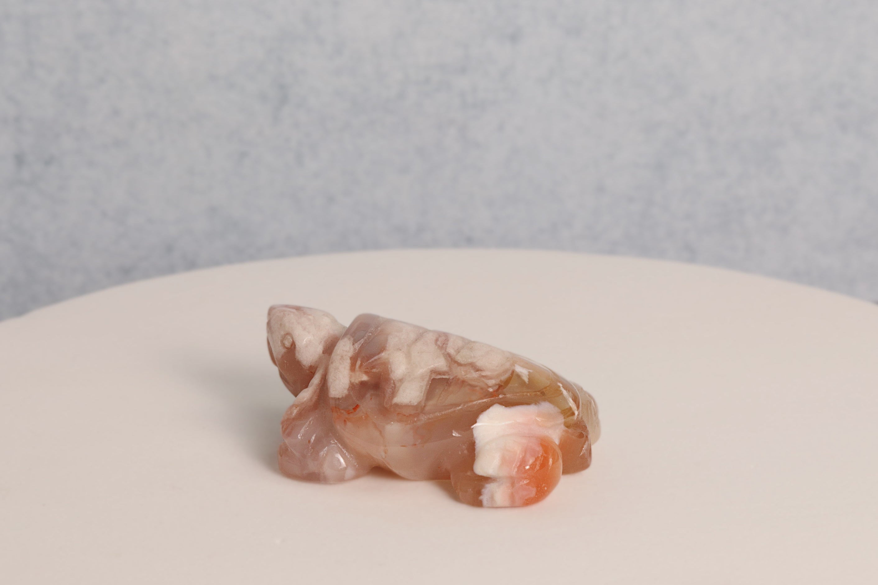 Flower Agate Turtle