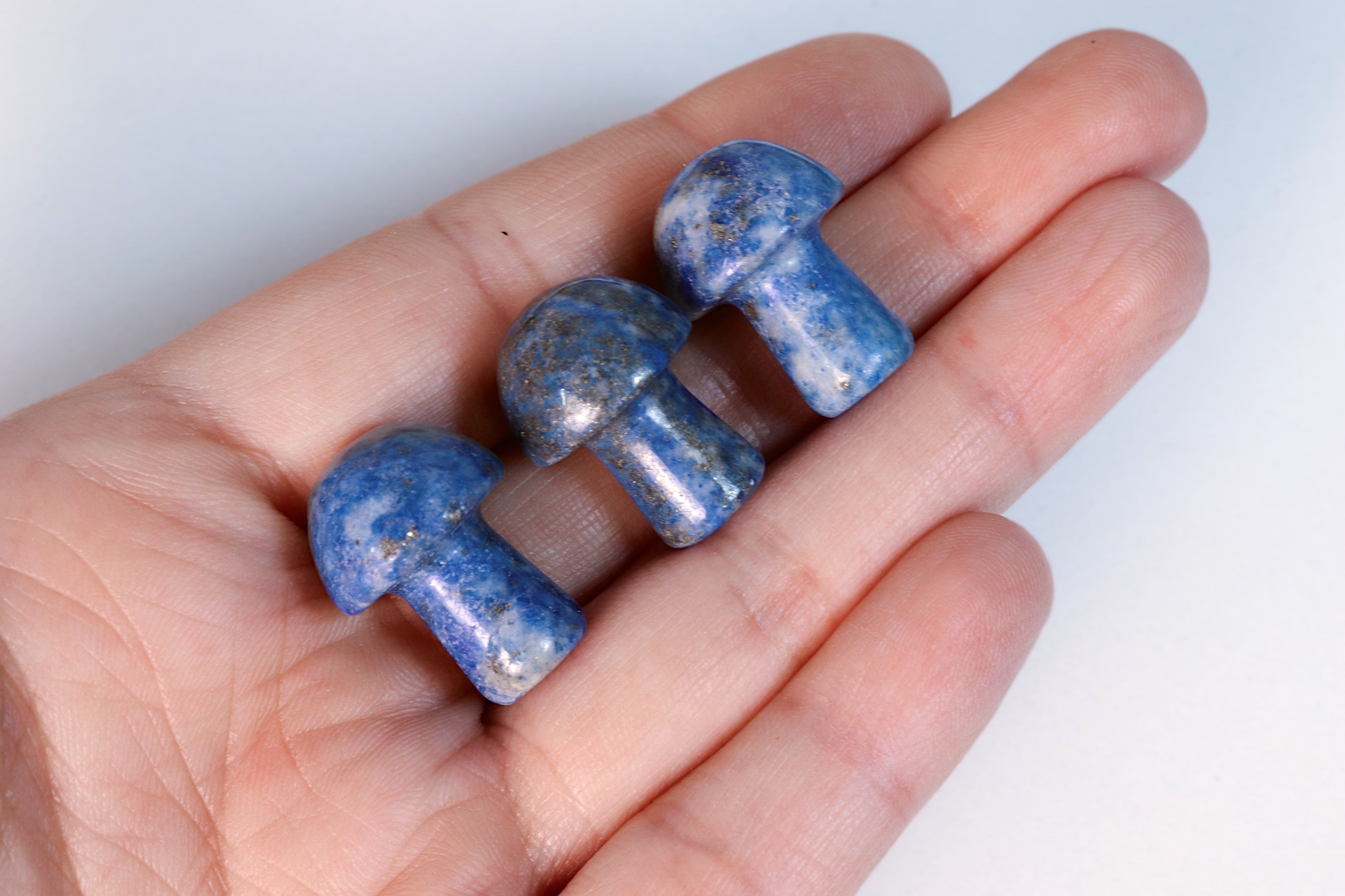 Mini Mushrooms