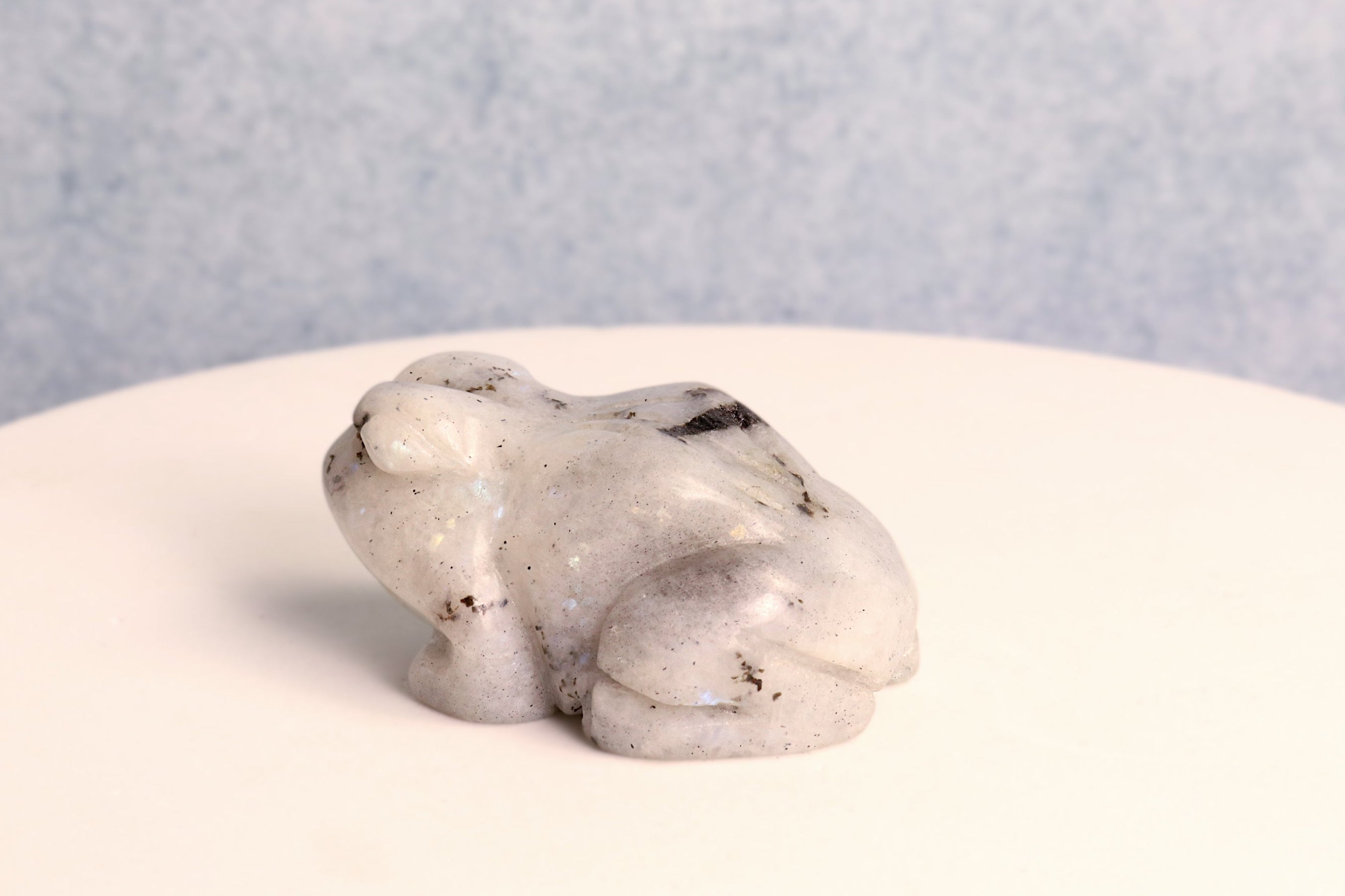 Rainbow Moonstone Frog