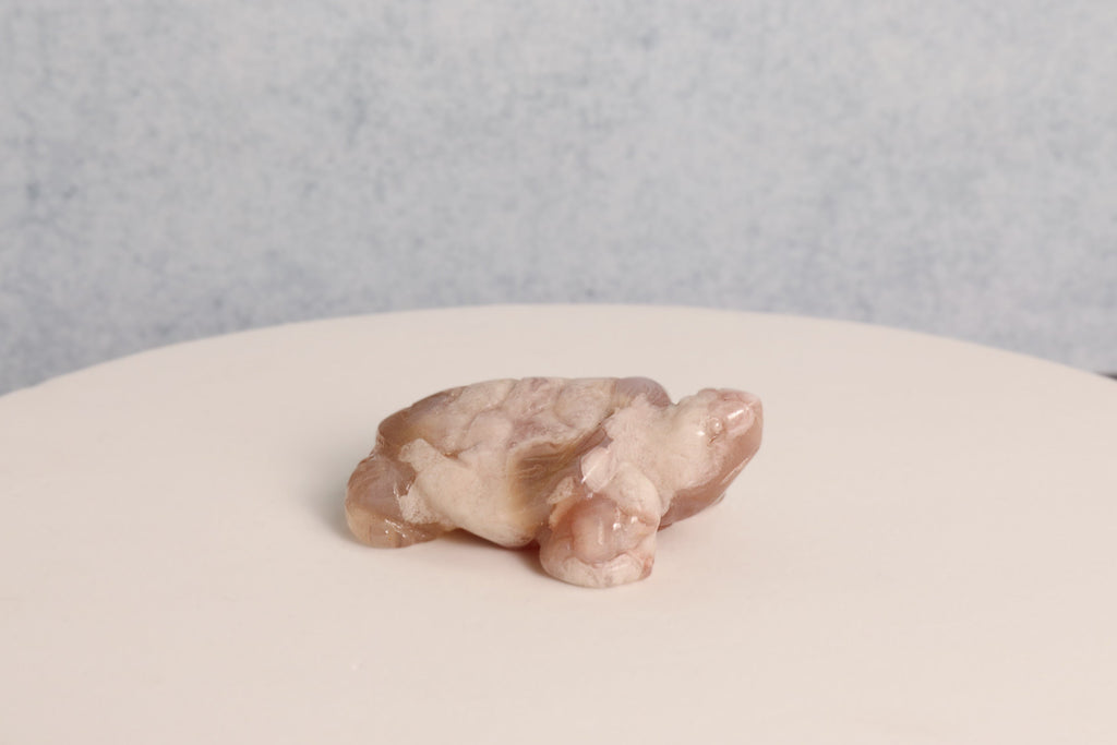 Flower Agate Turtle