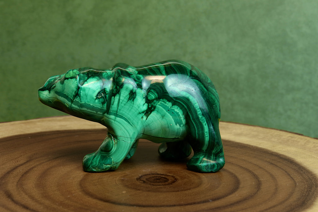 Malachite Bear