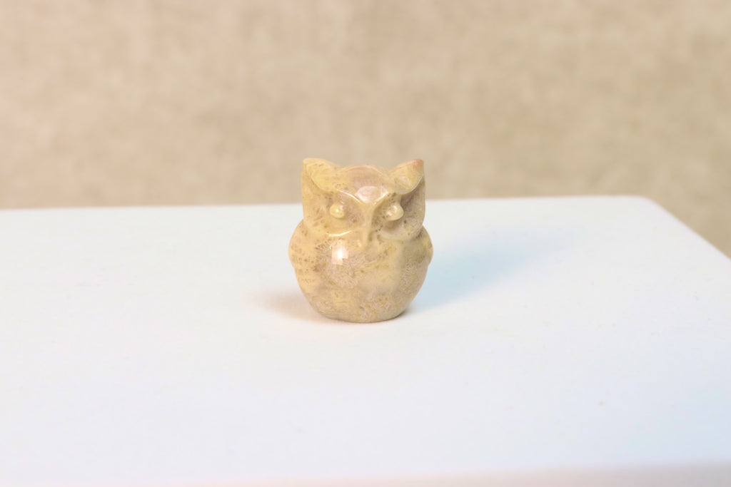 Agatized Coral Owl