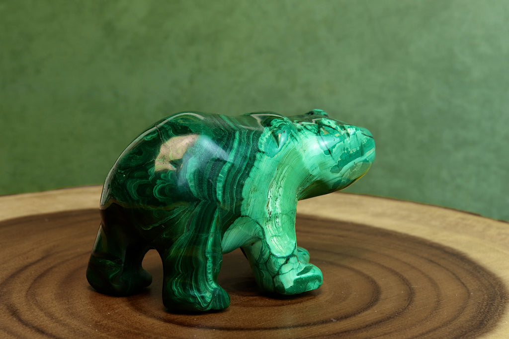 Malachite Bear