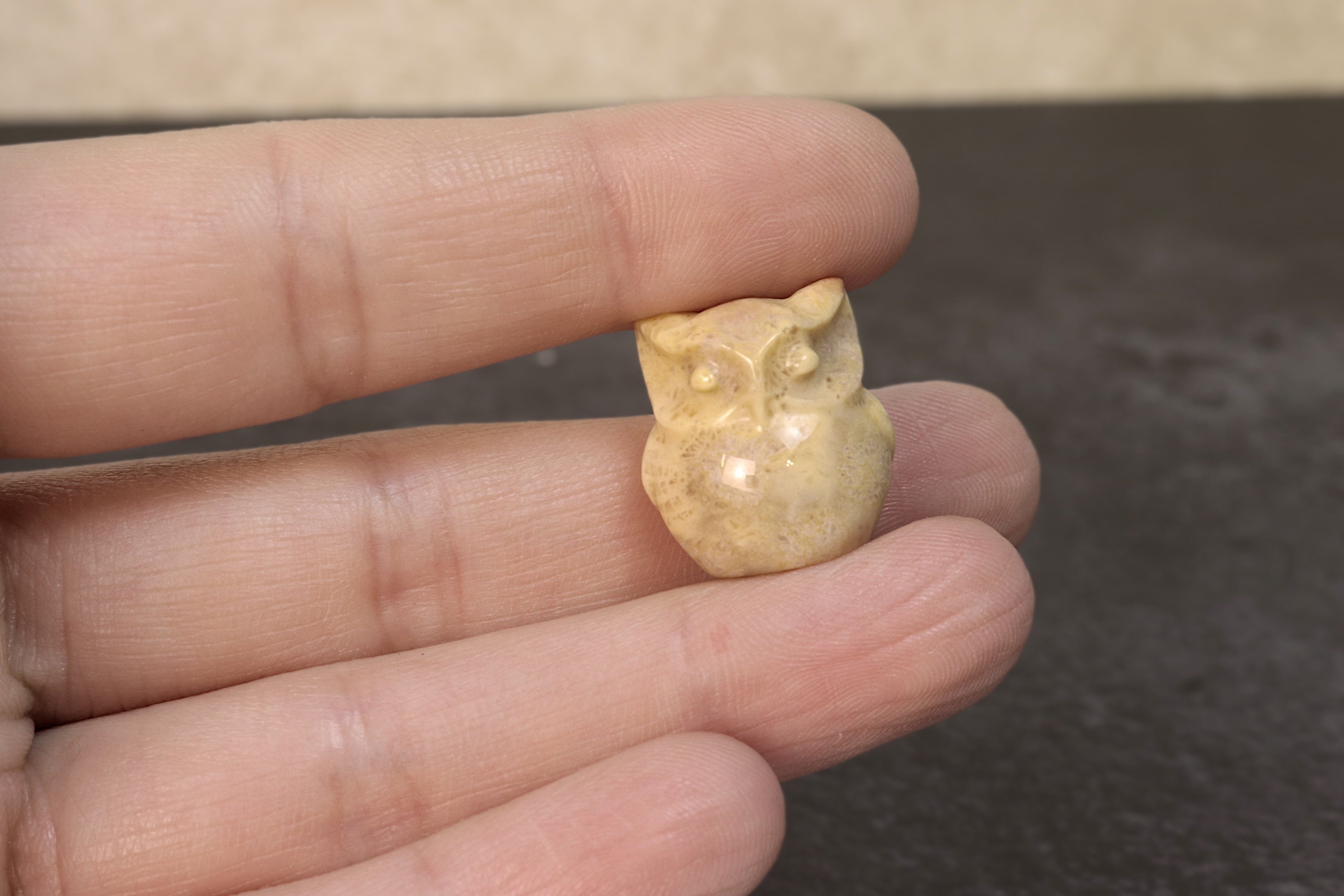 Agatized Coral Owl
