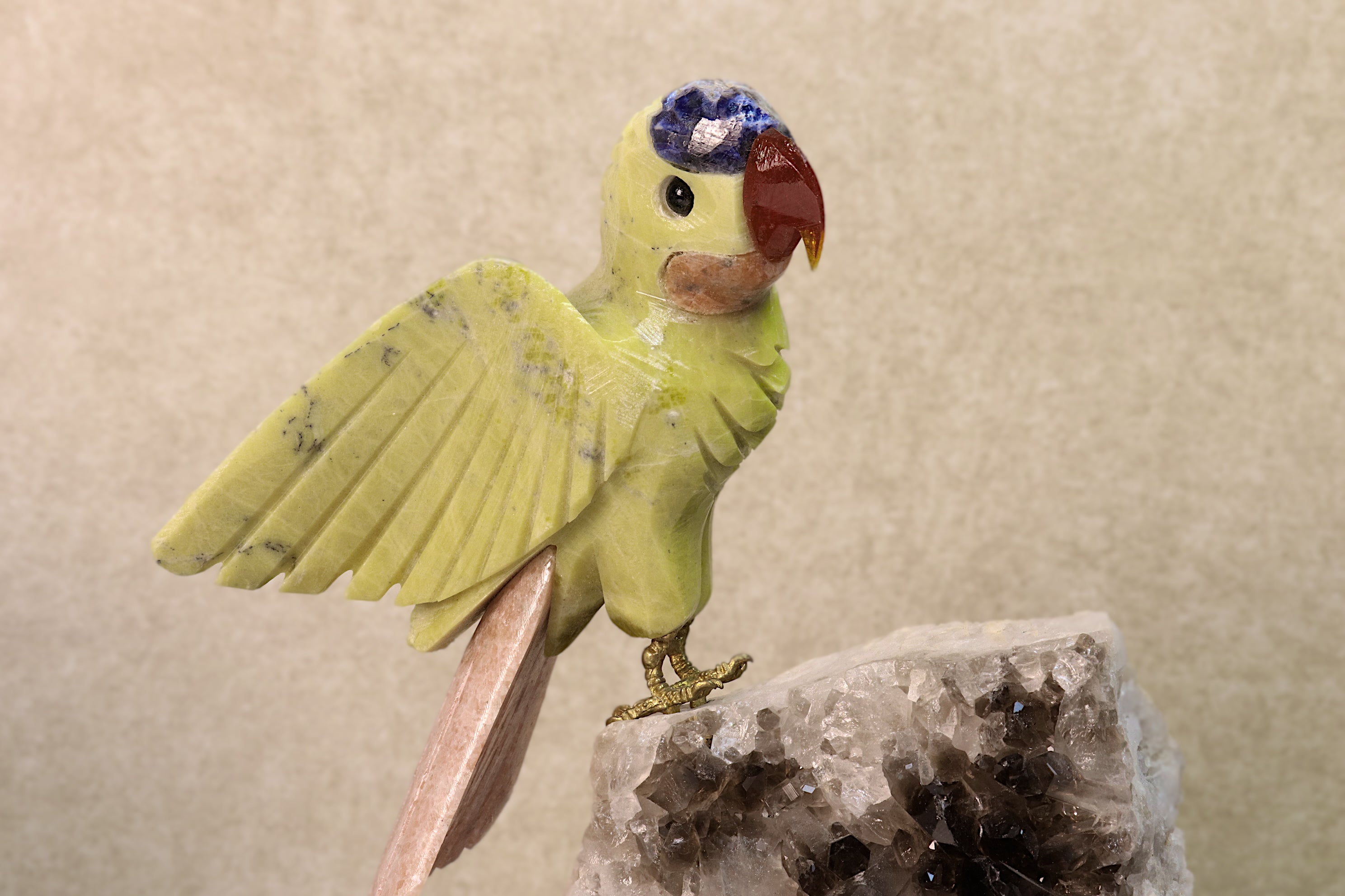 Budgie Bird