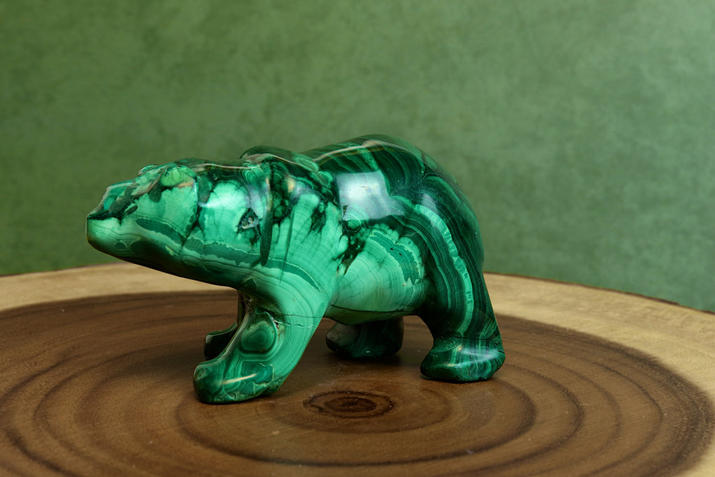 Malachite Bear