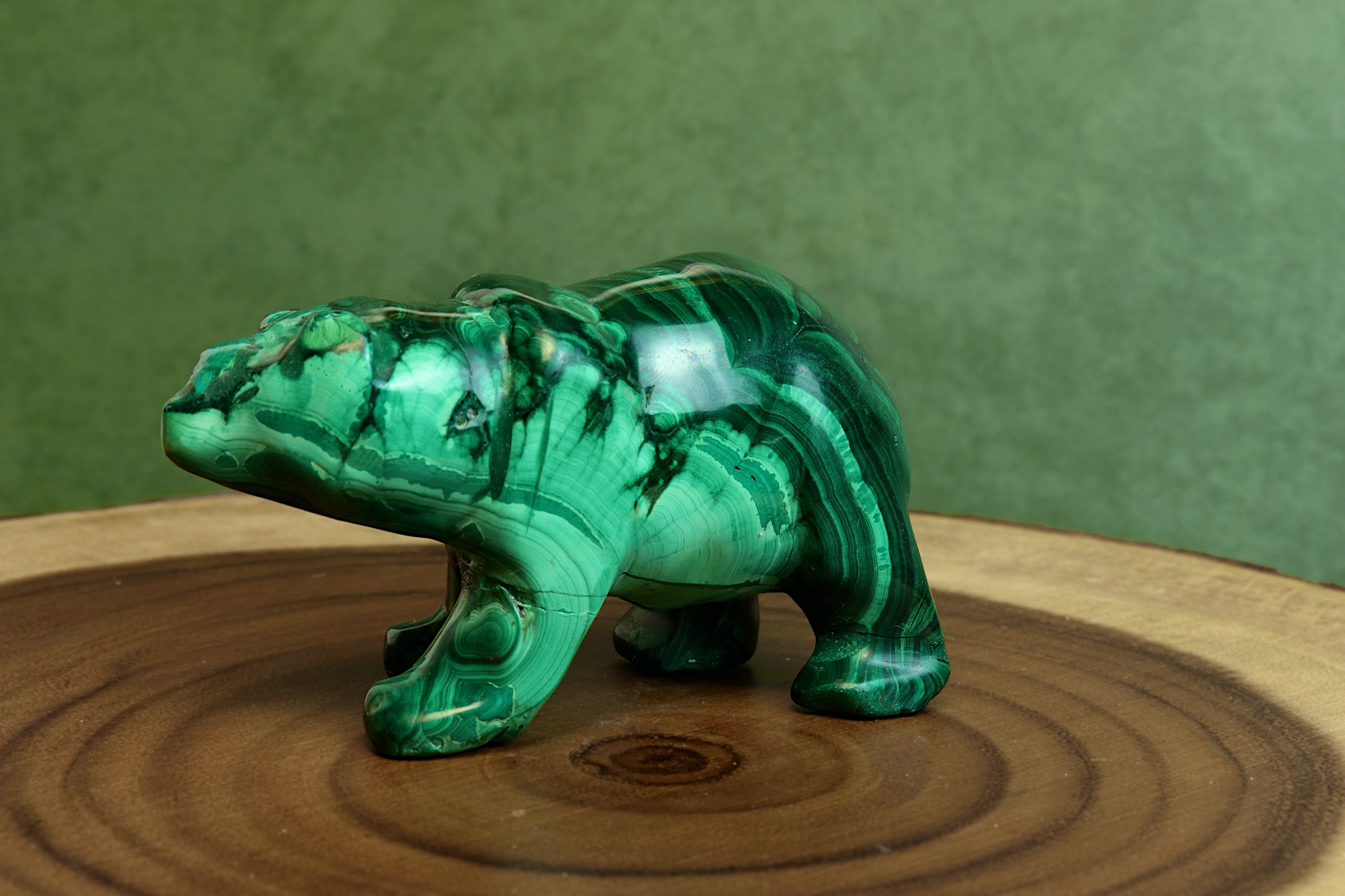 Malachite Bear