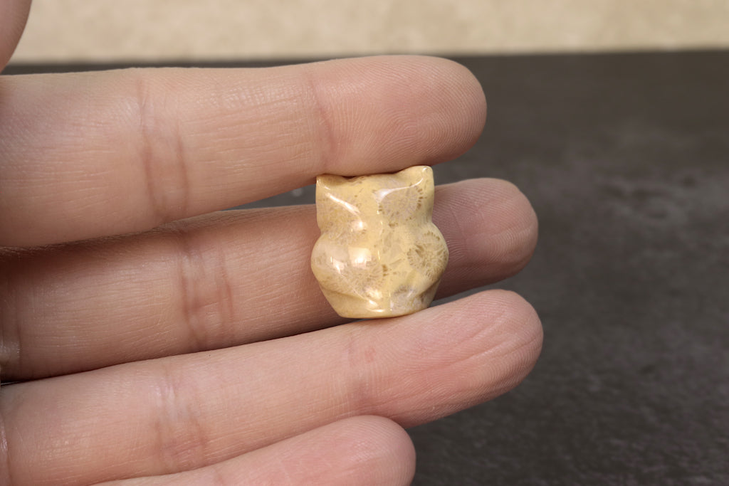 Agatized Coral Owl