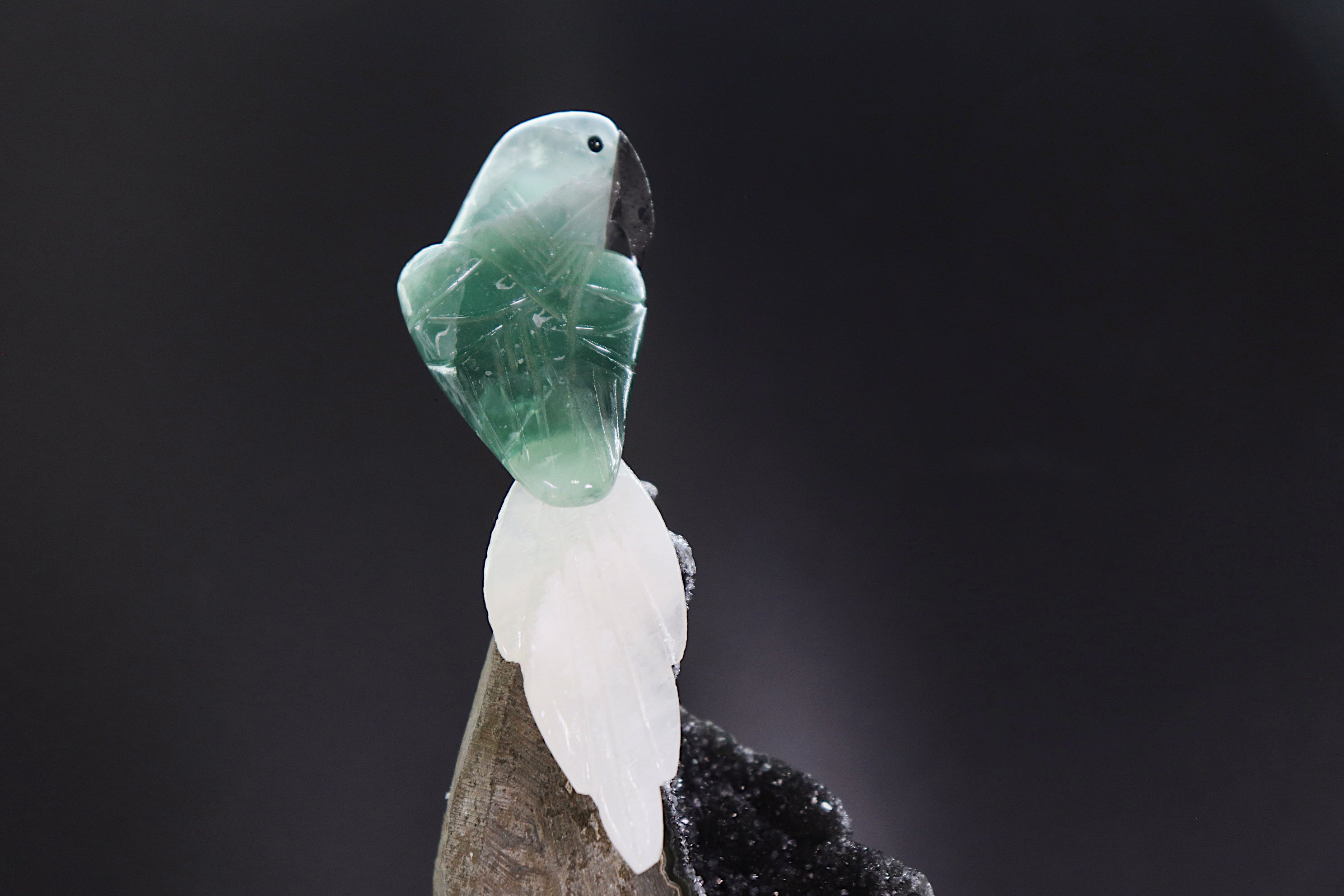 Fluorite & Quartz Bird on Black Amethyst