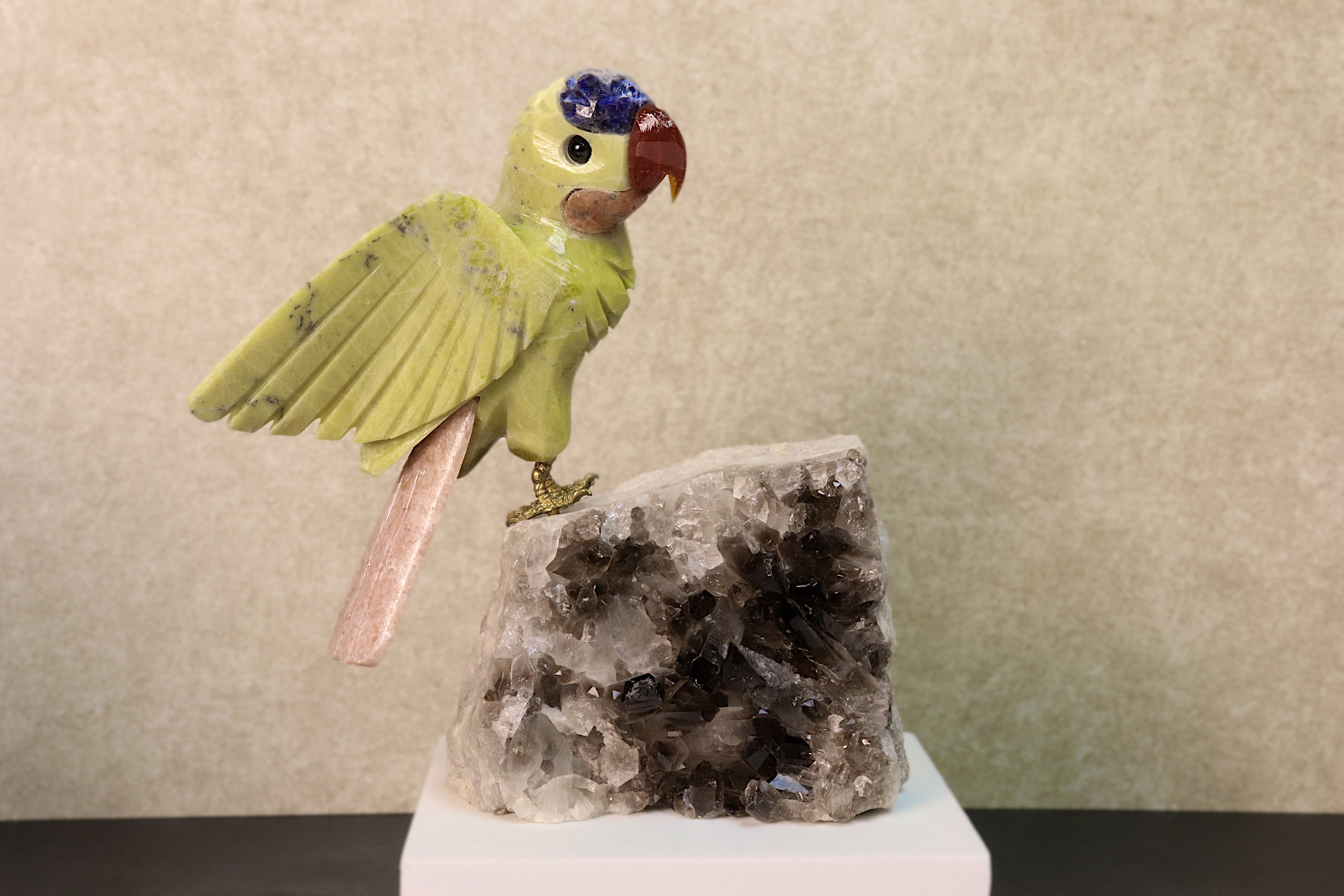 Budgie Bird