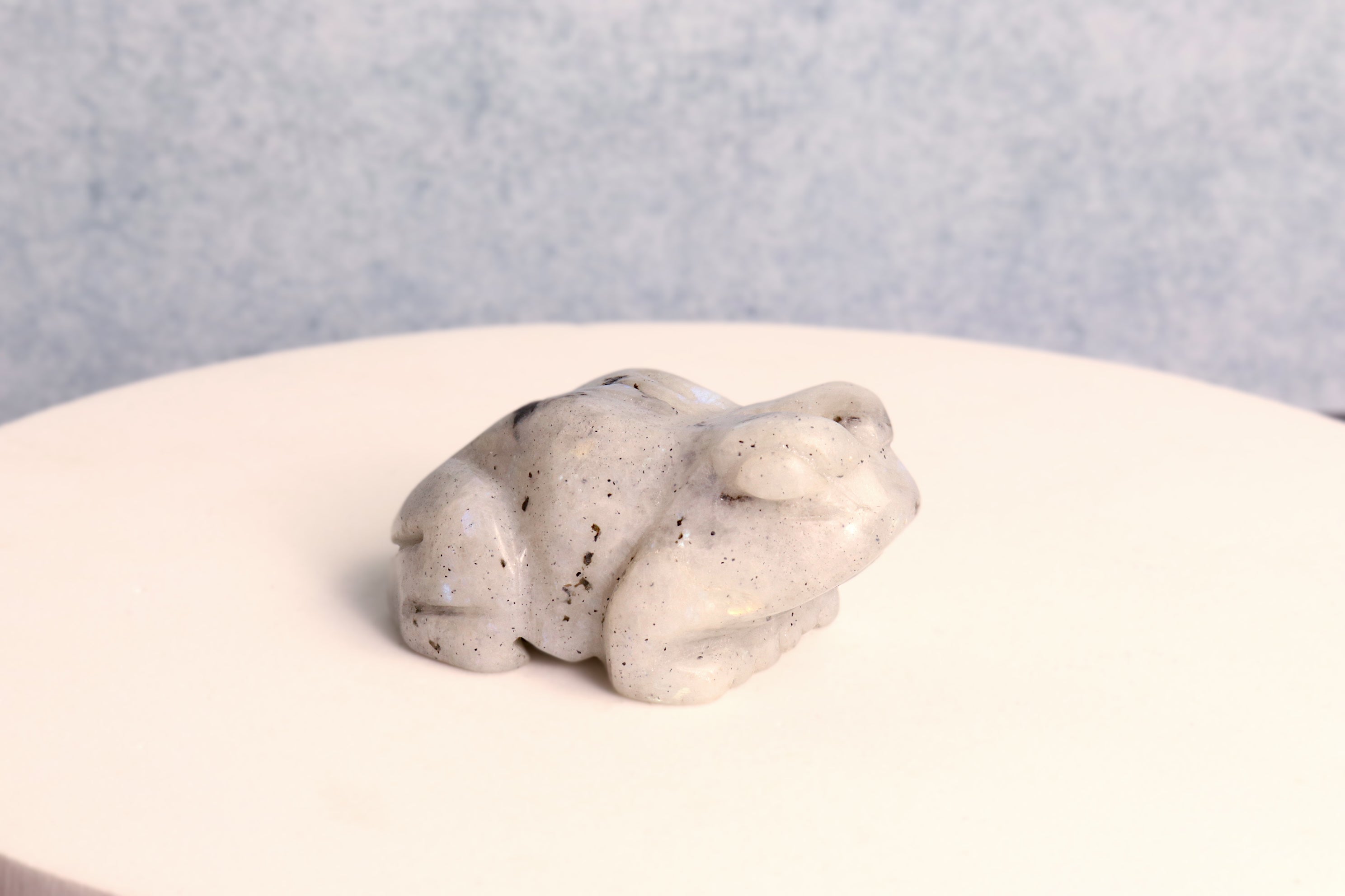Rainbow Moonstone Frog
