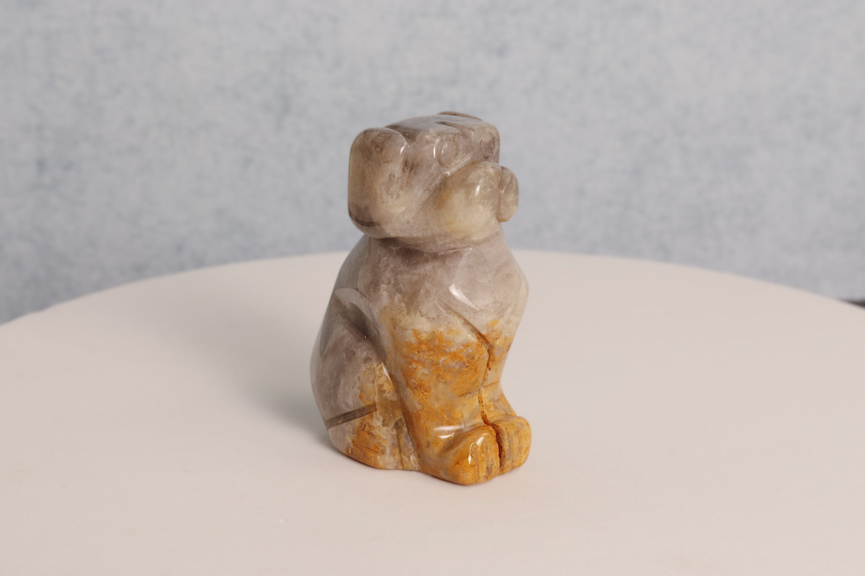Bumblebee Jasper Dog
