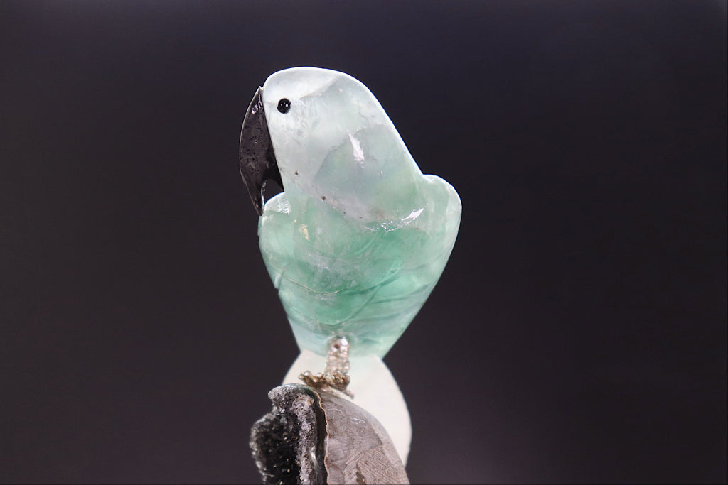 Fluorite & Quartz Bird on Black Amethyst