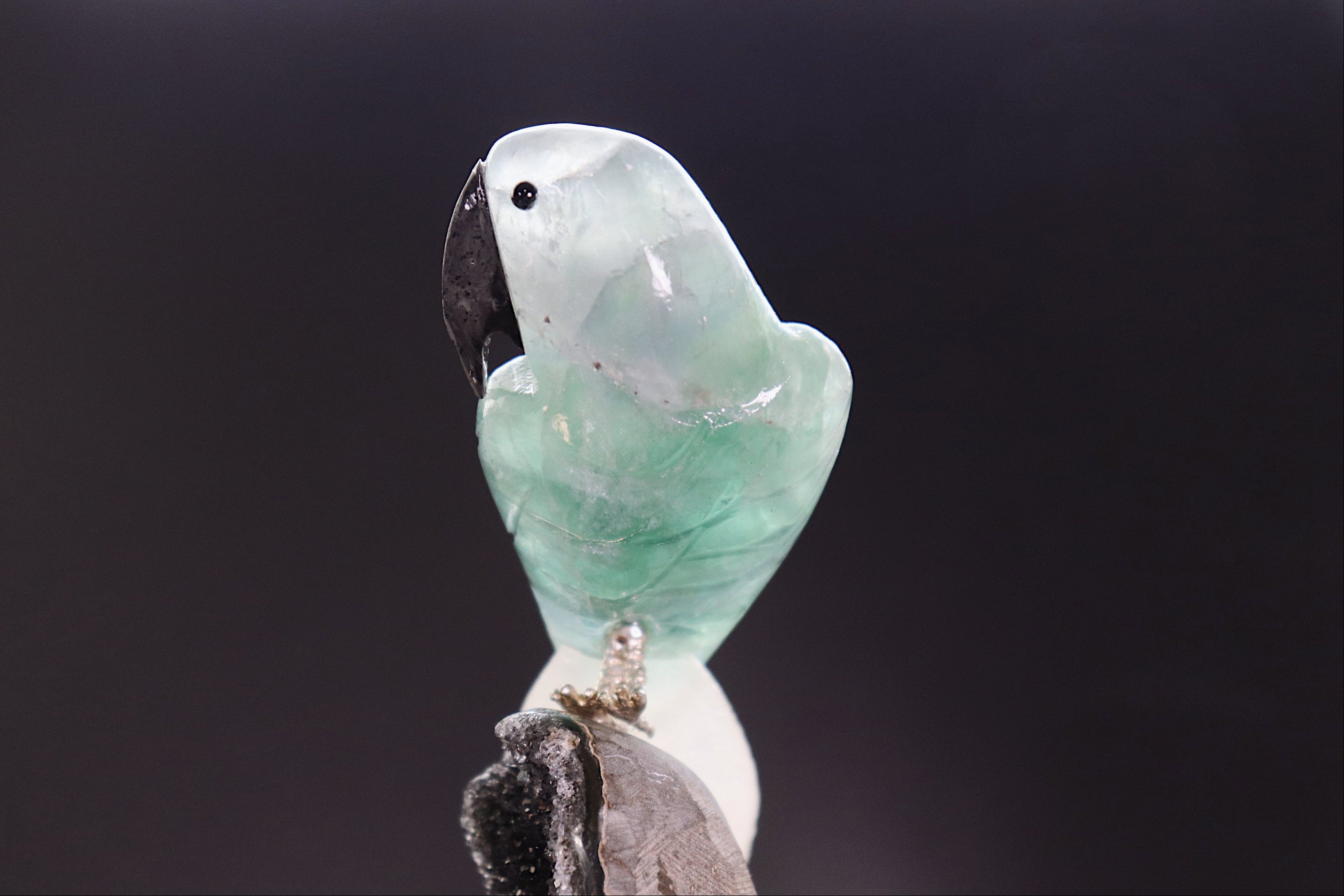 Fluorite & Quartz Bird on Black Amethyst