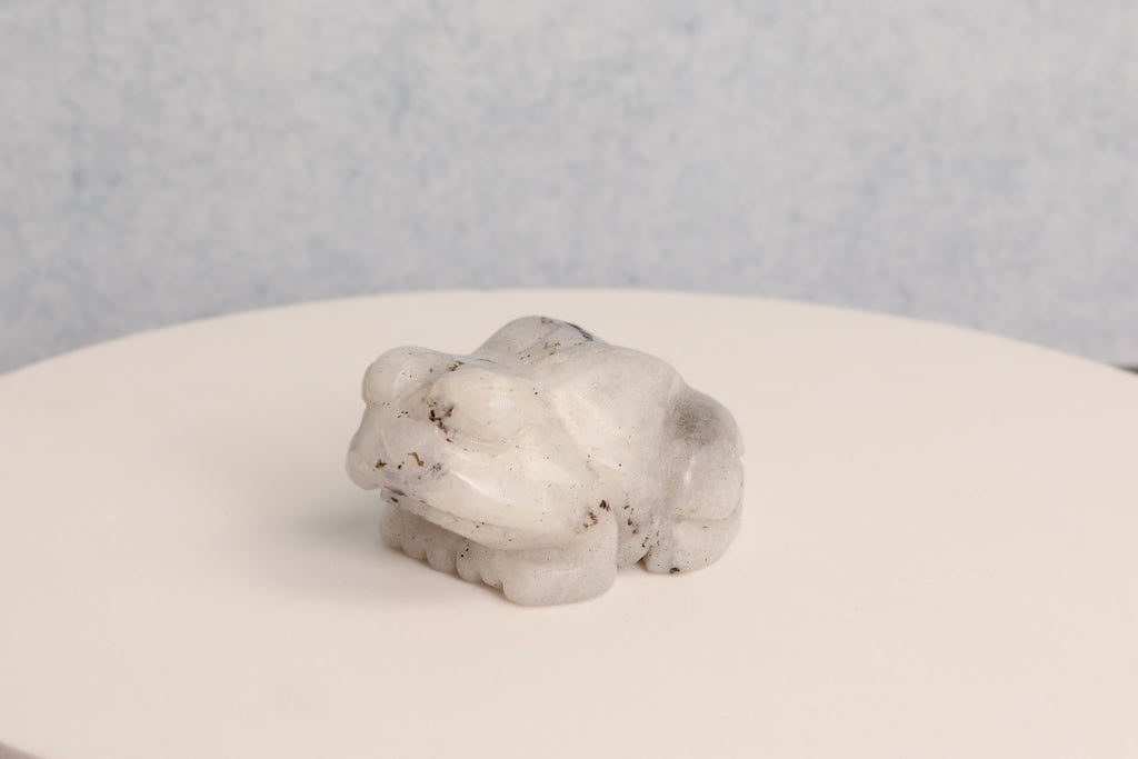 Rainbow Moonstone Frog