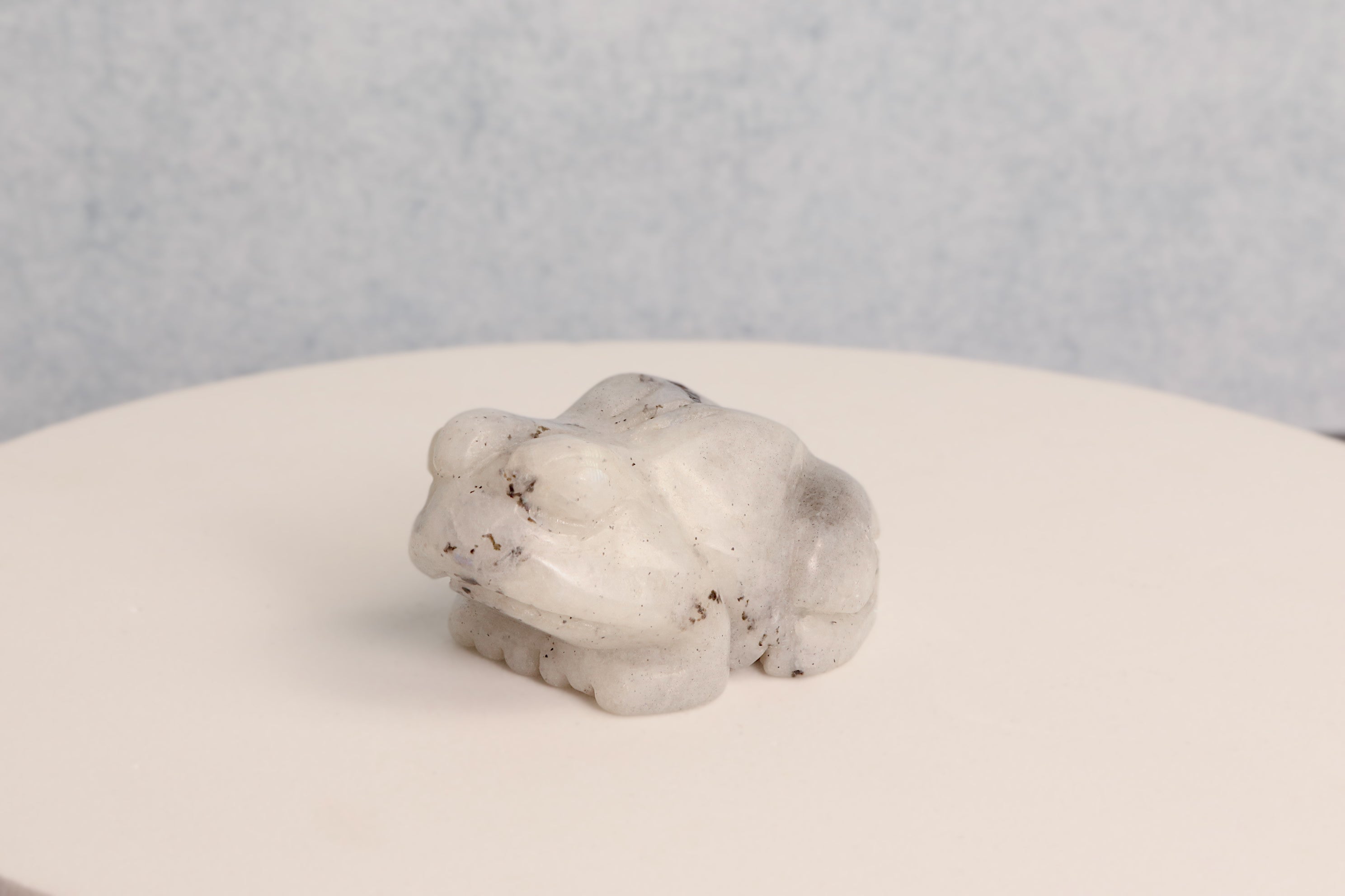 Rainbow Moonstone Frog
