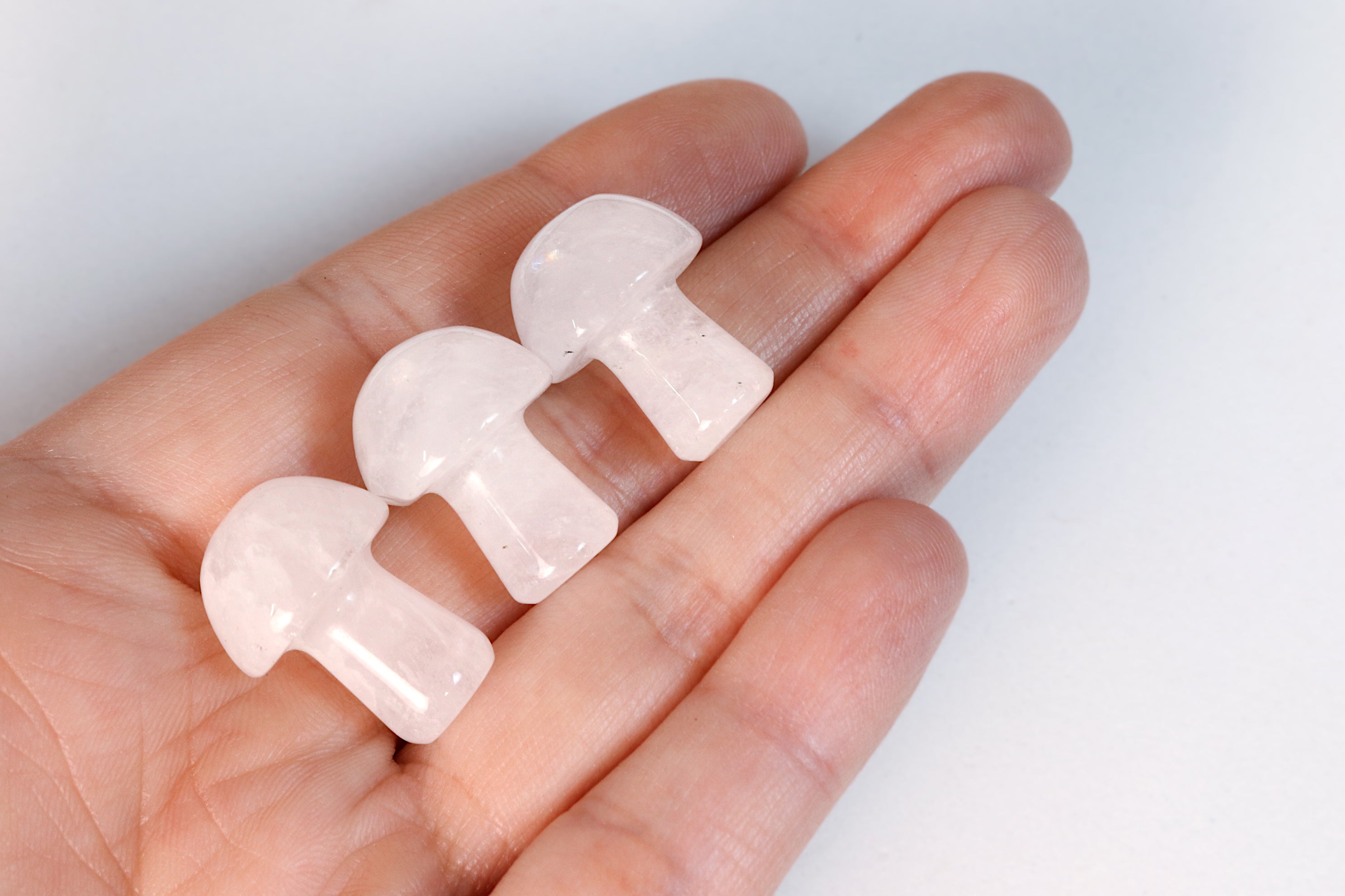 Mini Mushrooms