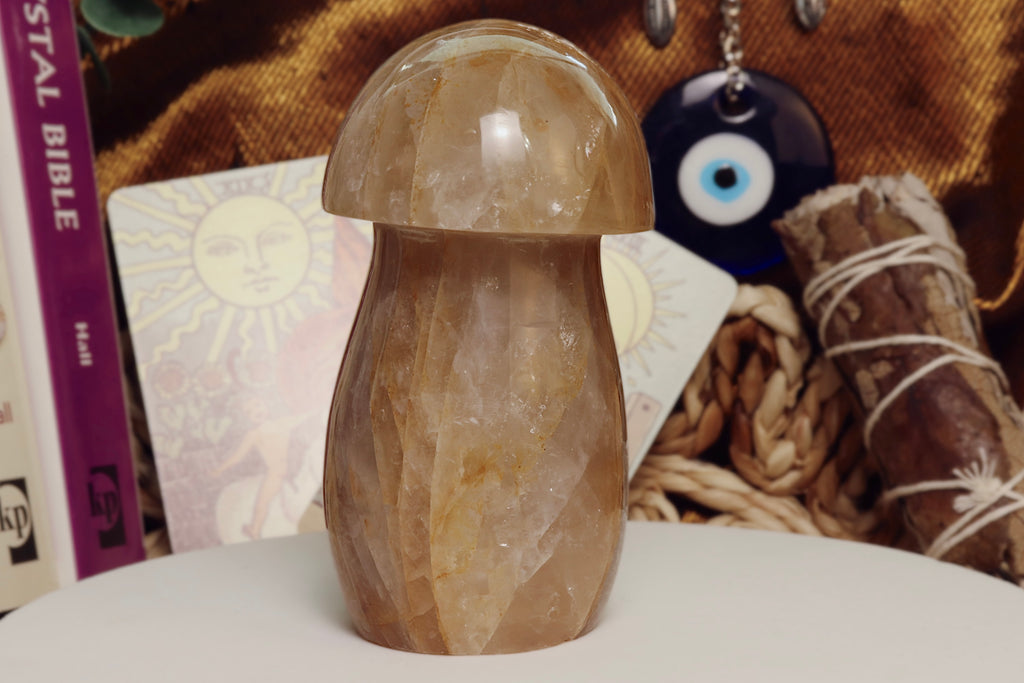 Golden Healer Mushroom