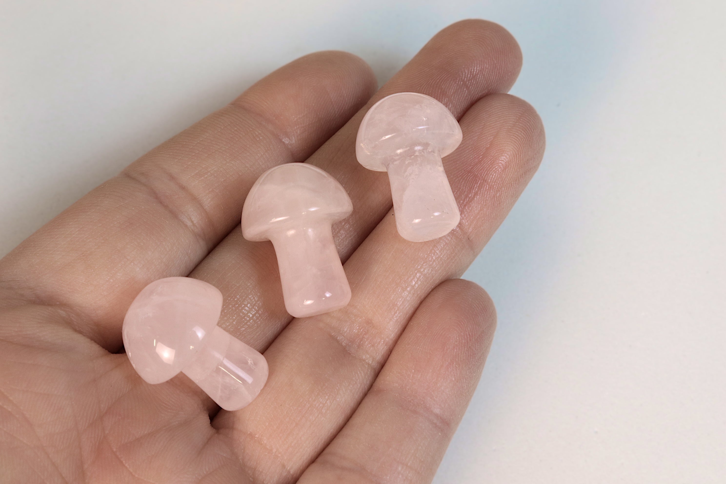 Mini Mushrooms