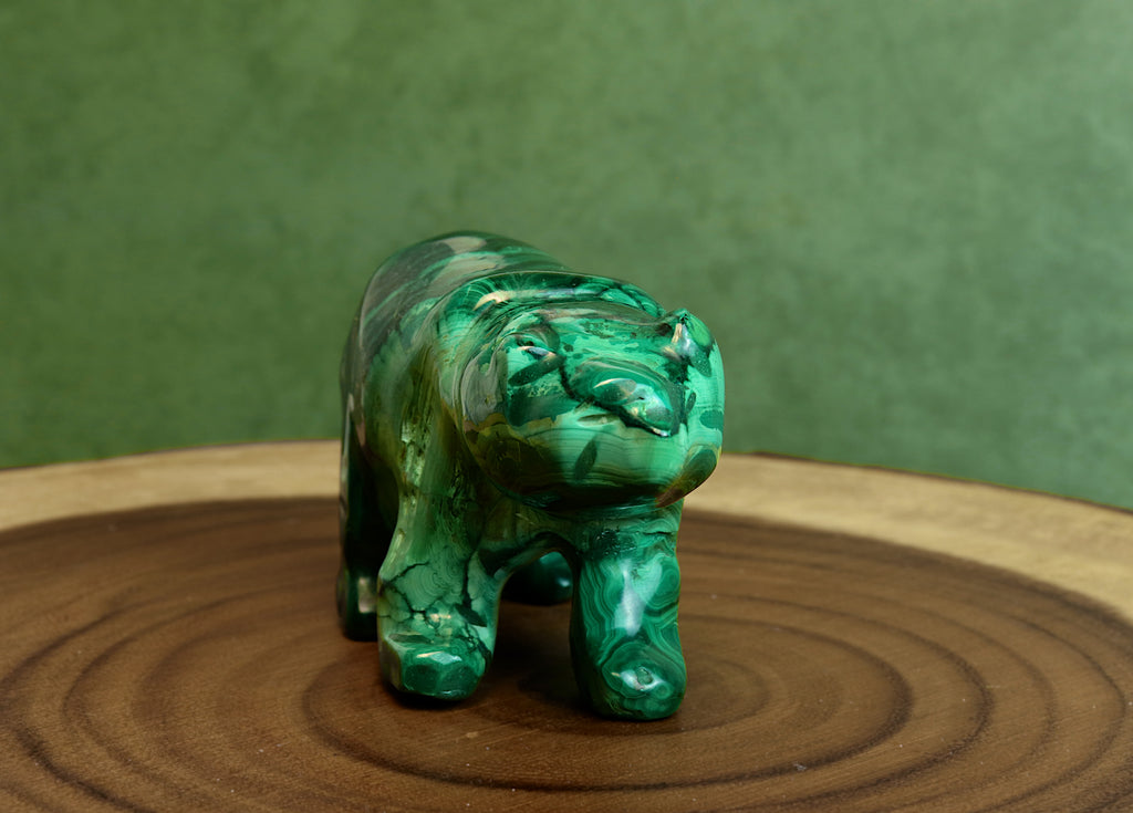 Malachite Bear
