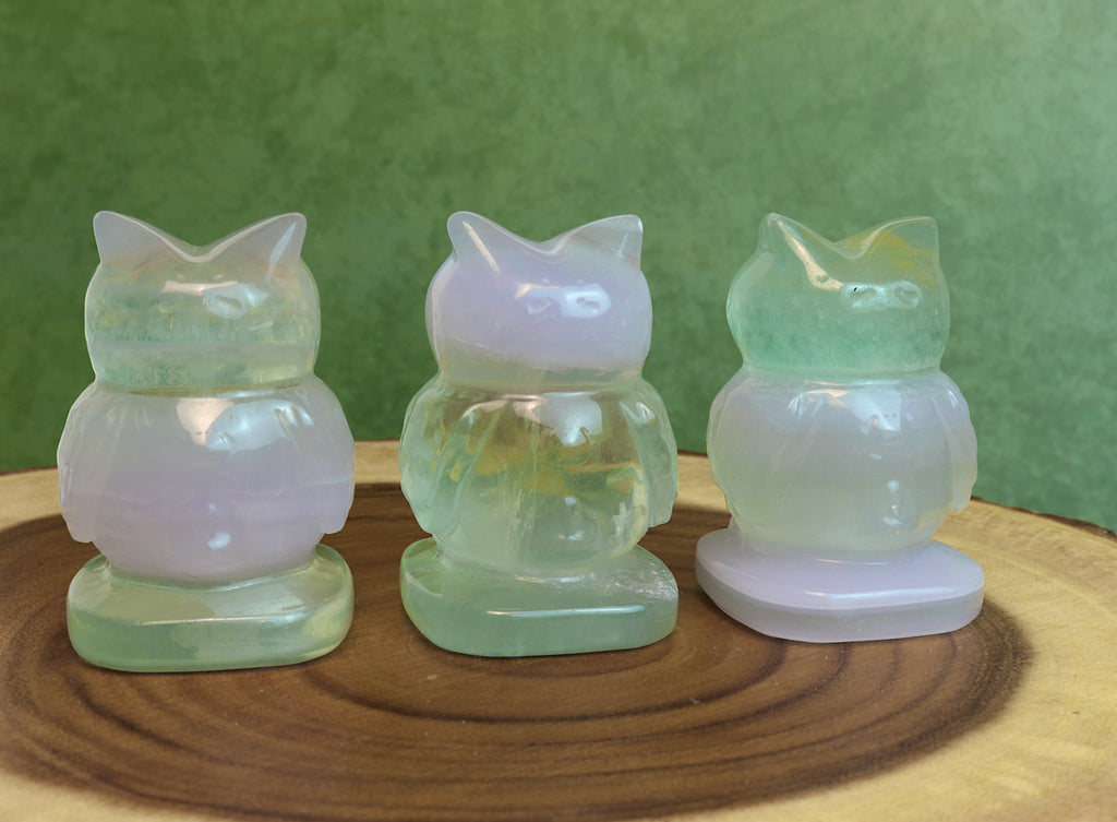 Fluorite Owl