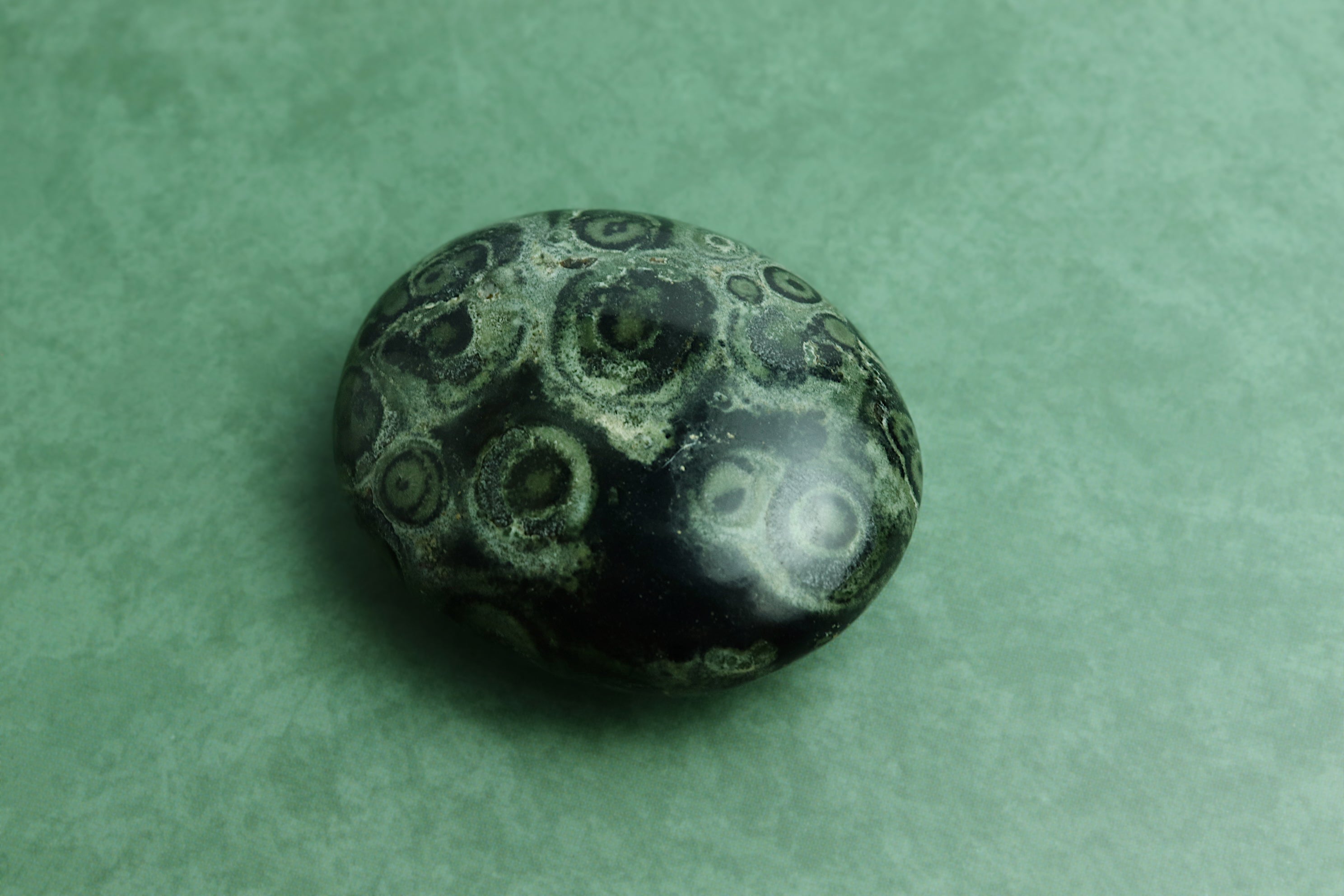 Kambaba Palm stone