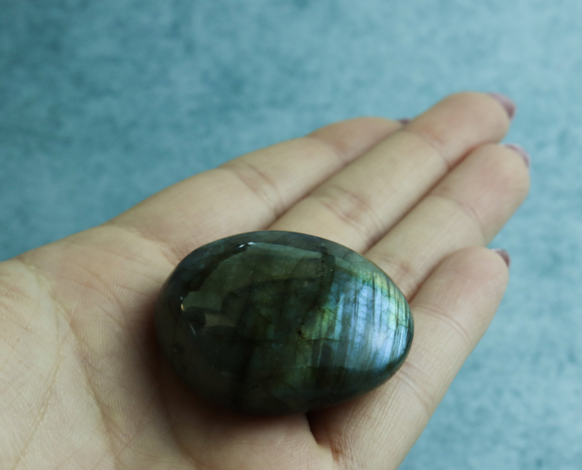 Hand holding a dark green labradorite stone against a blue background